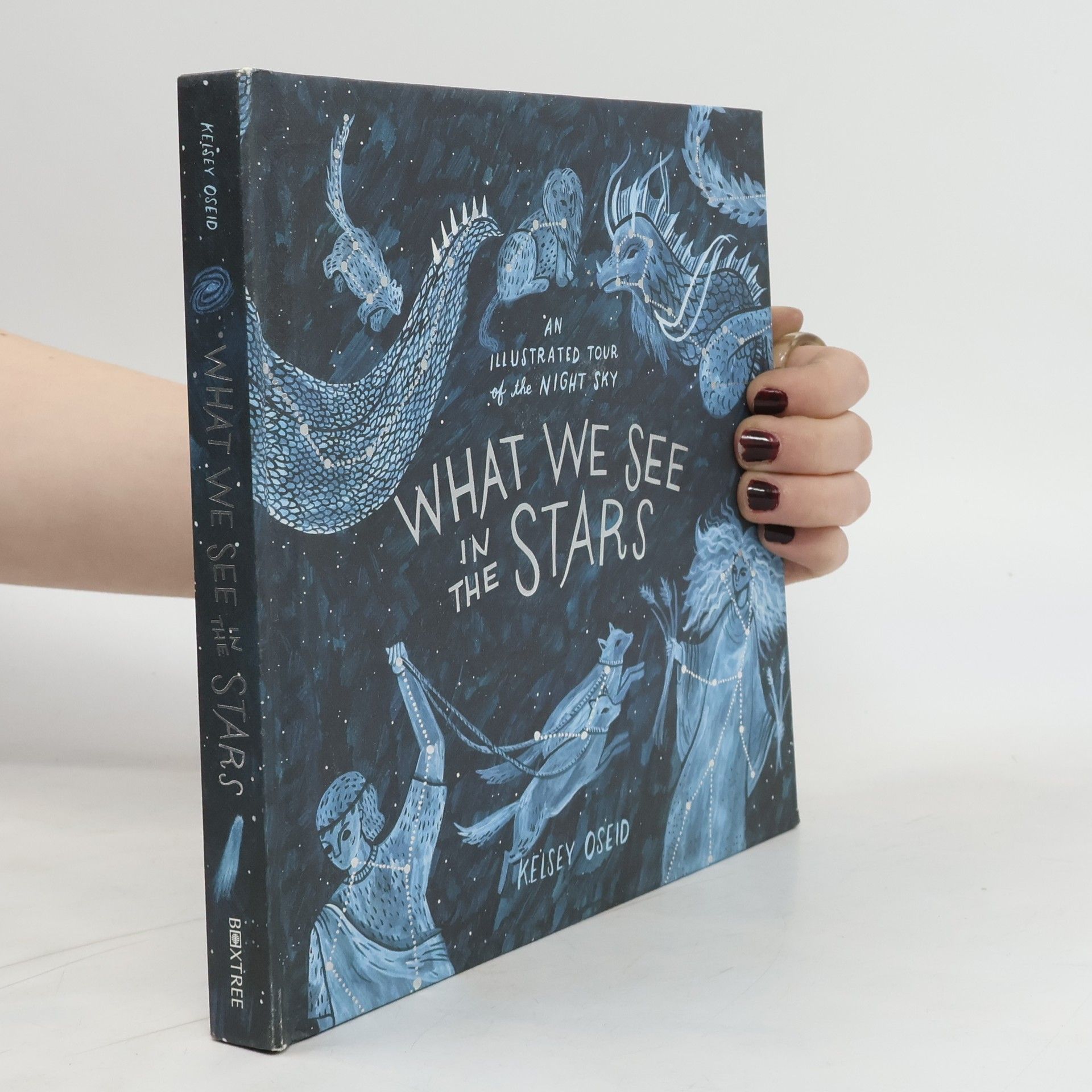 Kelsey Oseid What We See in the Stars