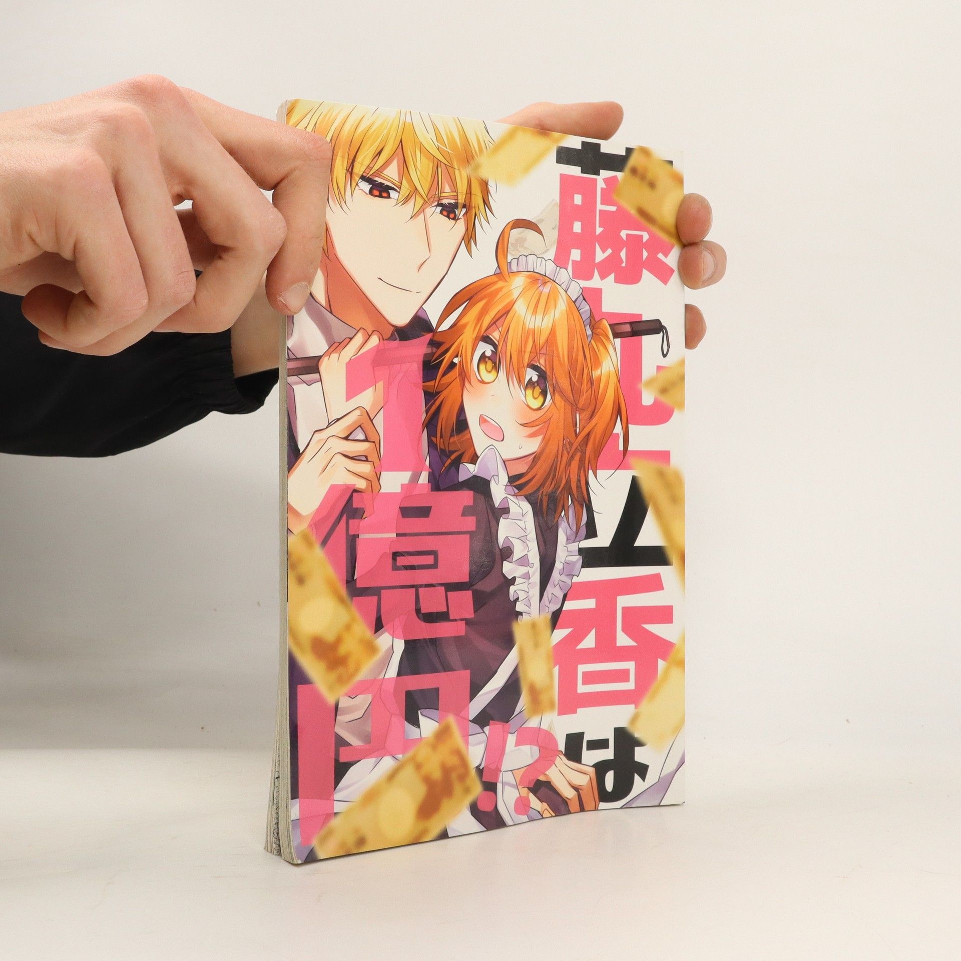 Autorenkollektiv 藤丸立香は一億円！？