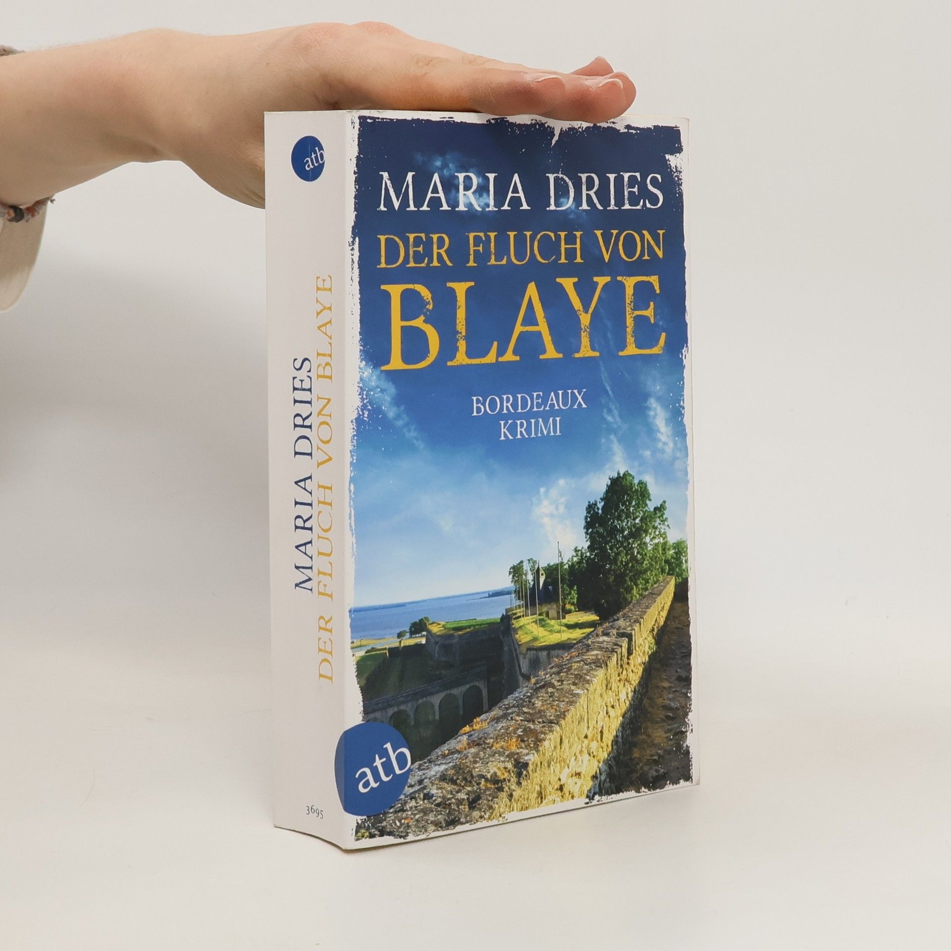 Maria Dries Der Fluch von Blaye