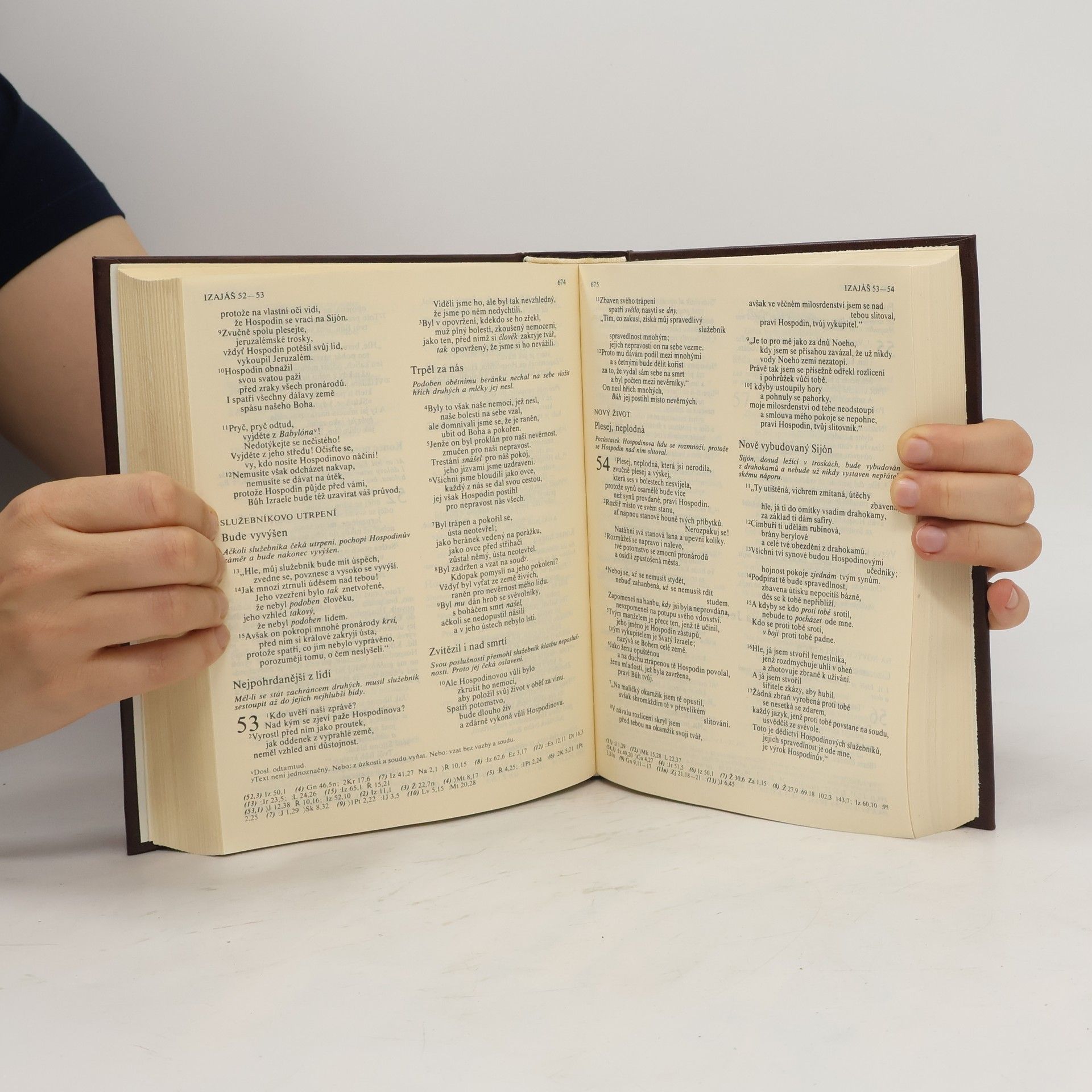 Kolektiv autorů Bible. Písmo svaté Starého a Nového zákona
