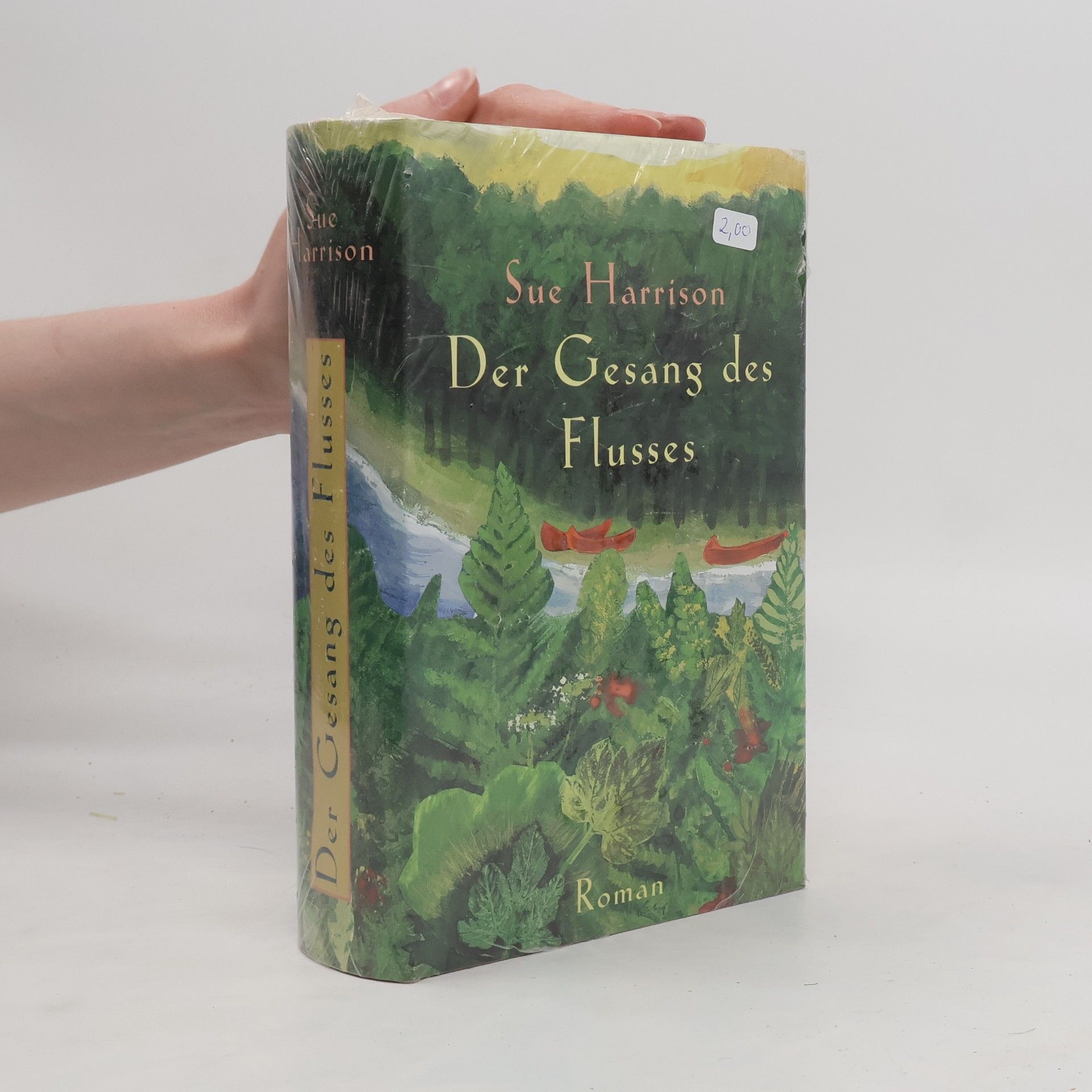 Sue Harrison Der Gesang des Flusses