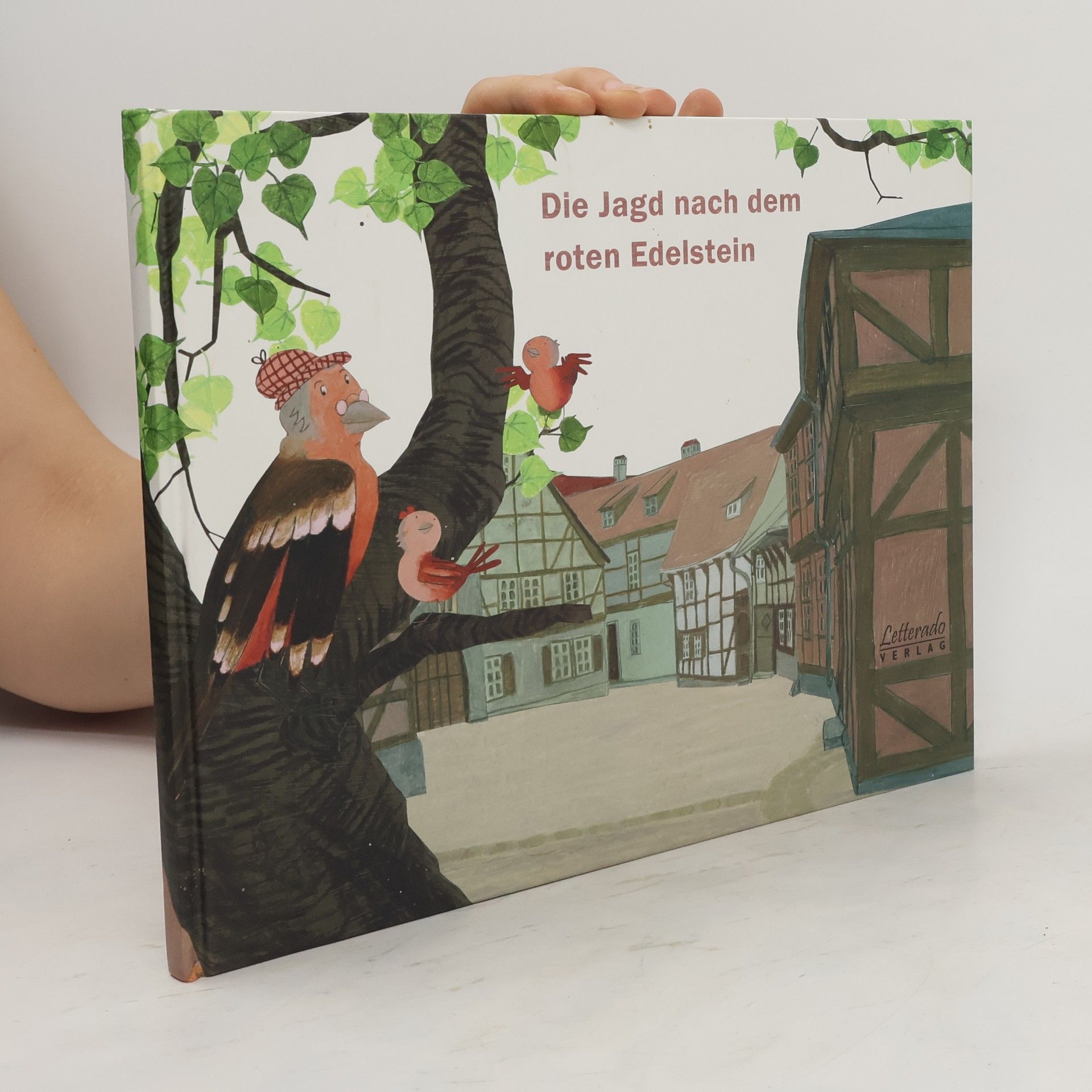 Anka Brüggemann Die Jagd nach dem roten Edelstein