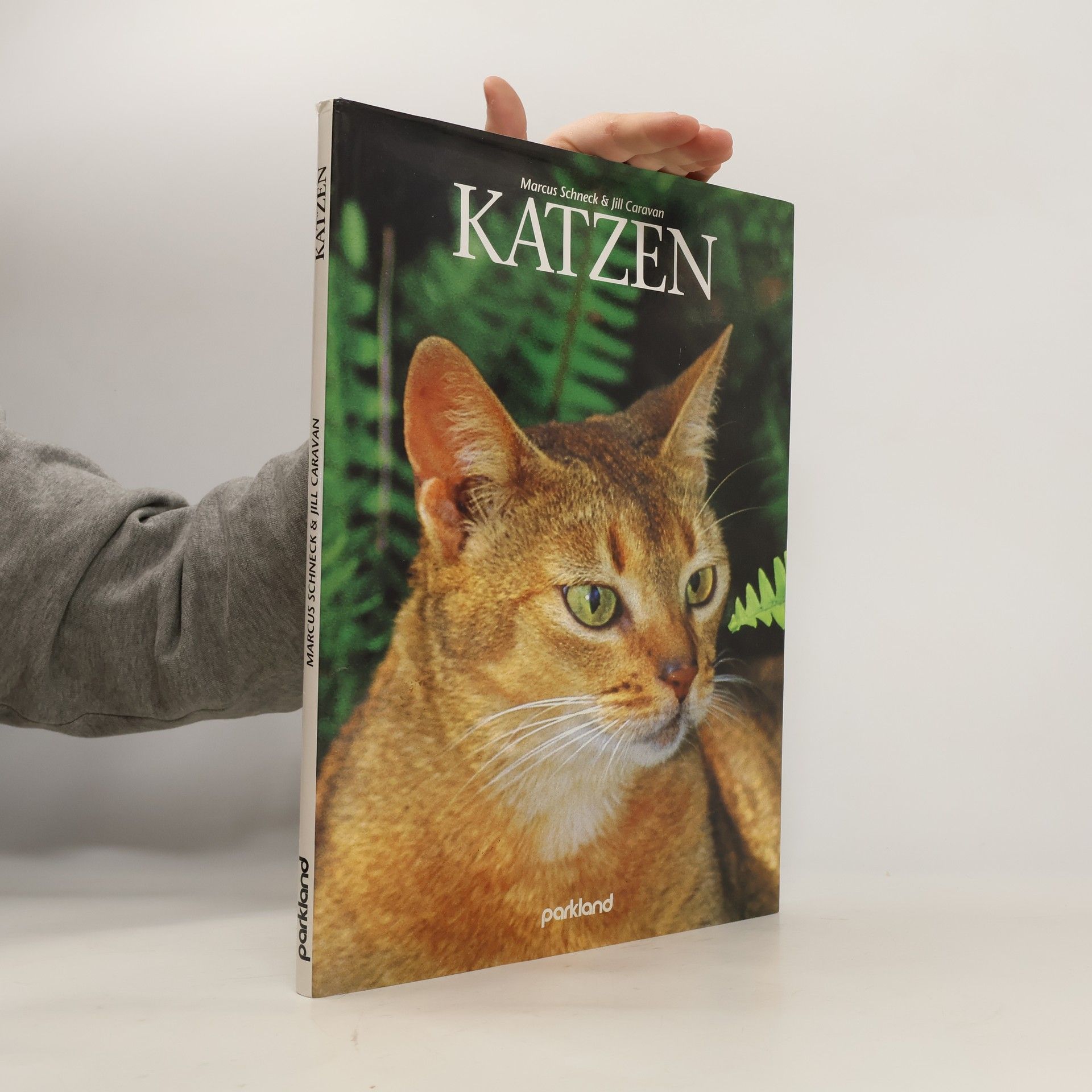 Marcus Schneck Katzen