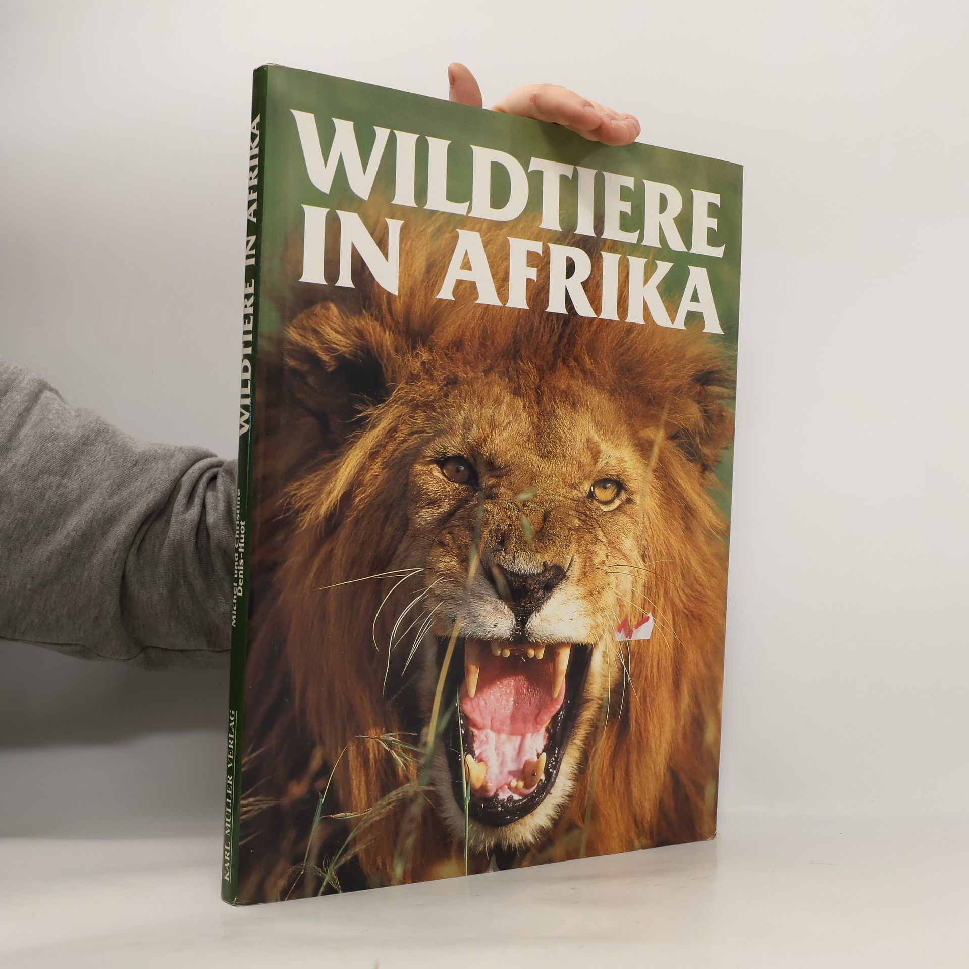Autorenkollektiv Wildtiere in Afrika