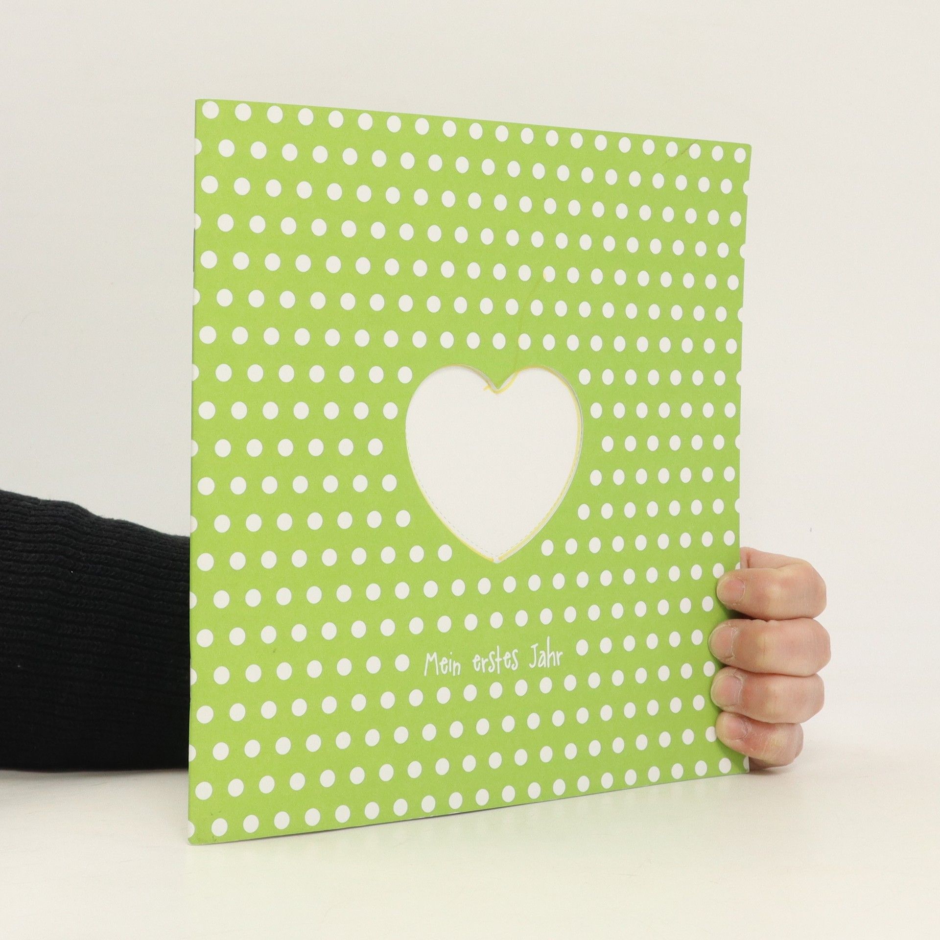 Autorenkollektiv Mein erstes Jahr