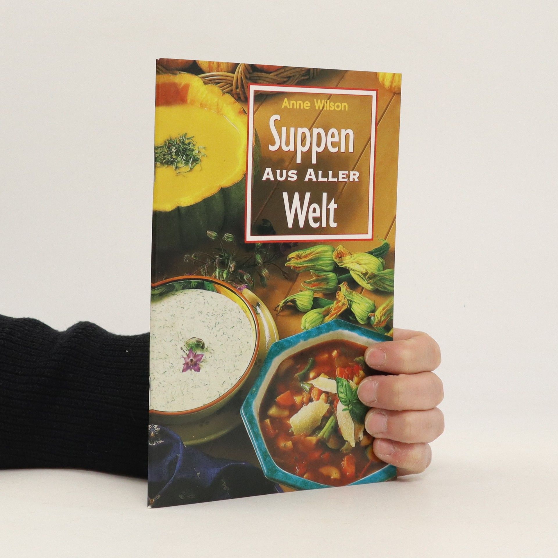 Anne Wilson Suppen aus aller Welt