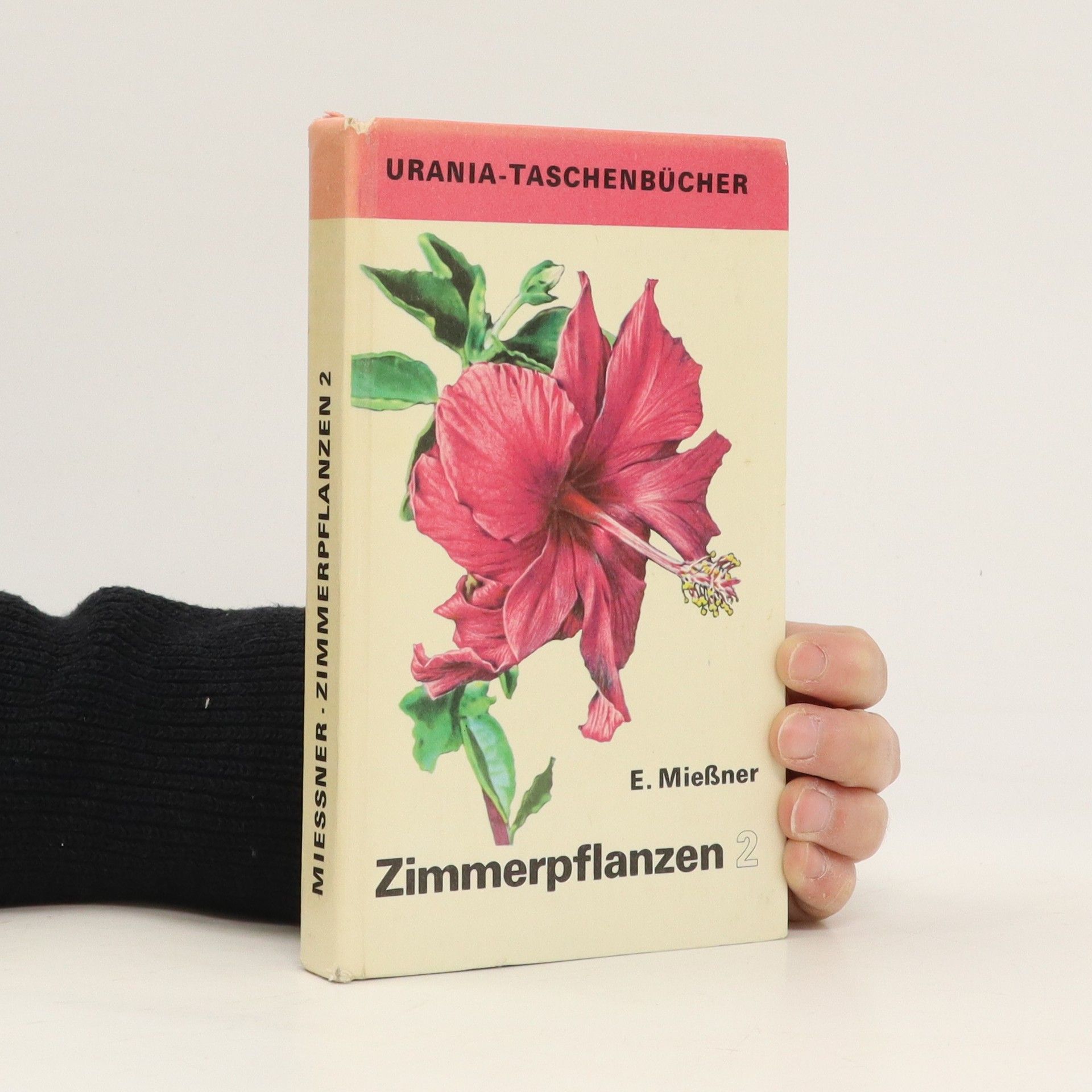 E. Mießner Zimmerpflanzen 2