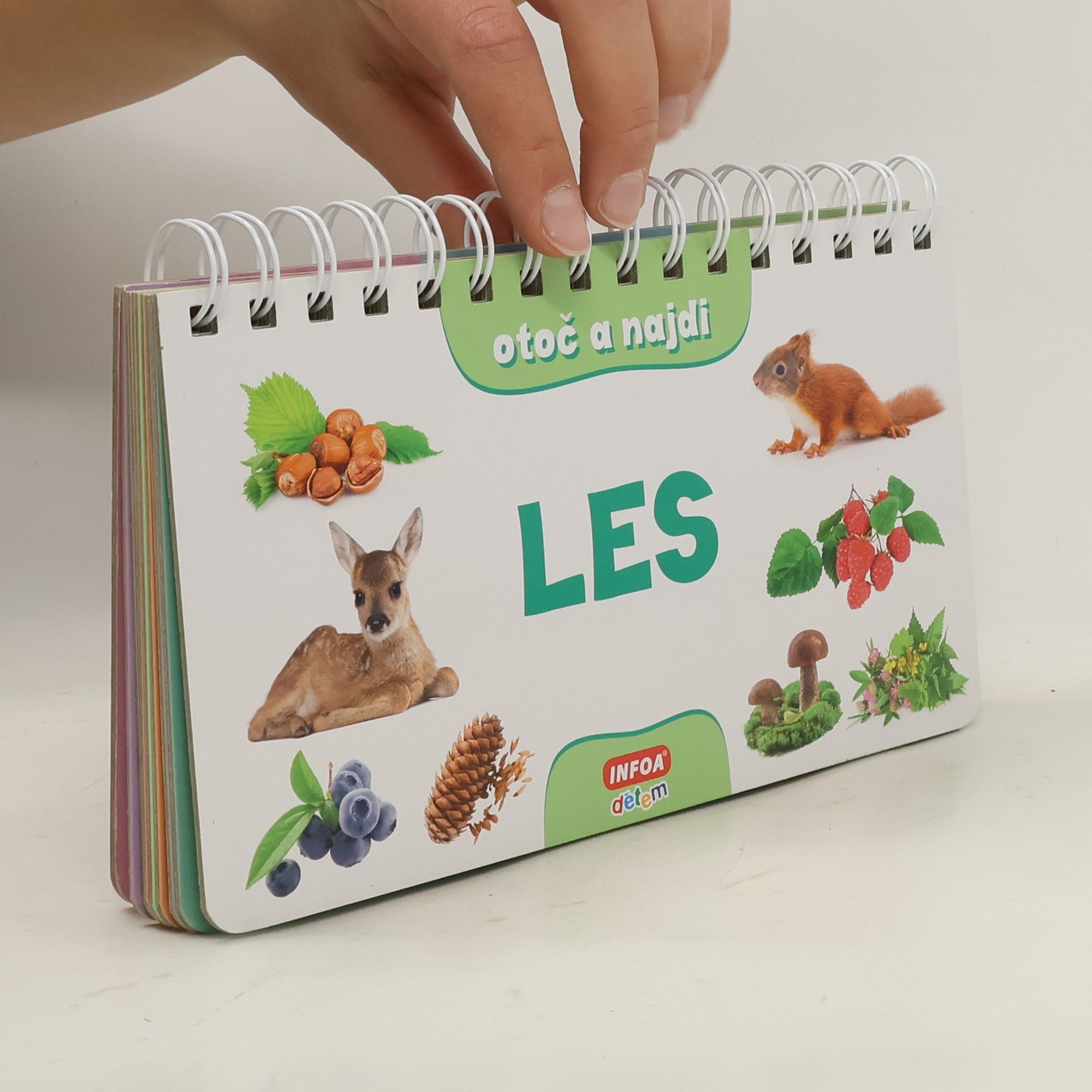 Kolektiv autorů Les Otoč a najdi - Les