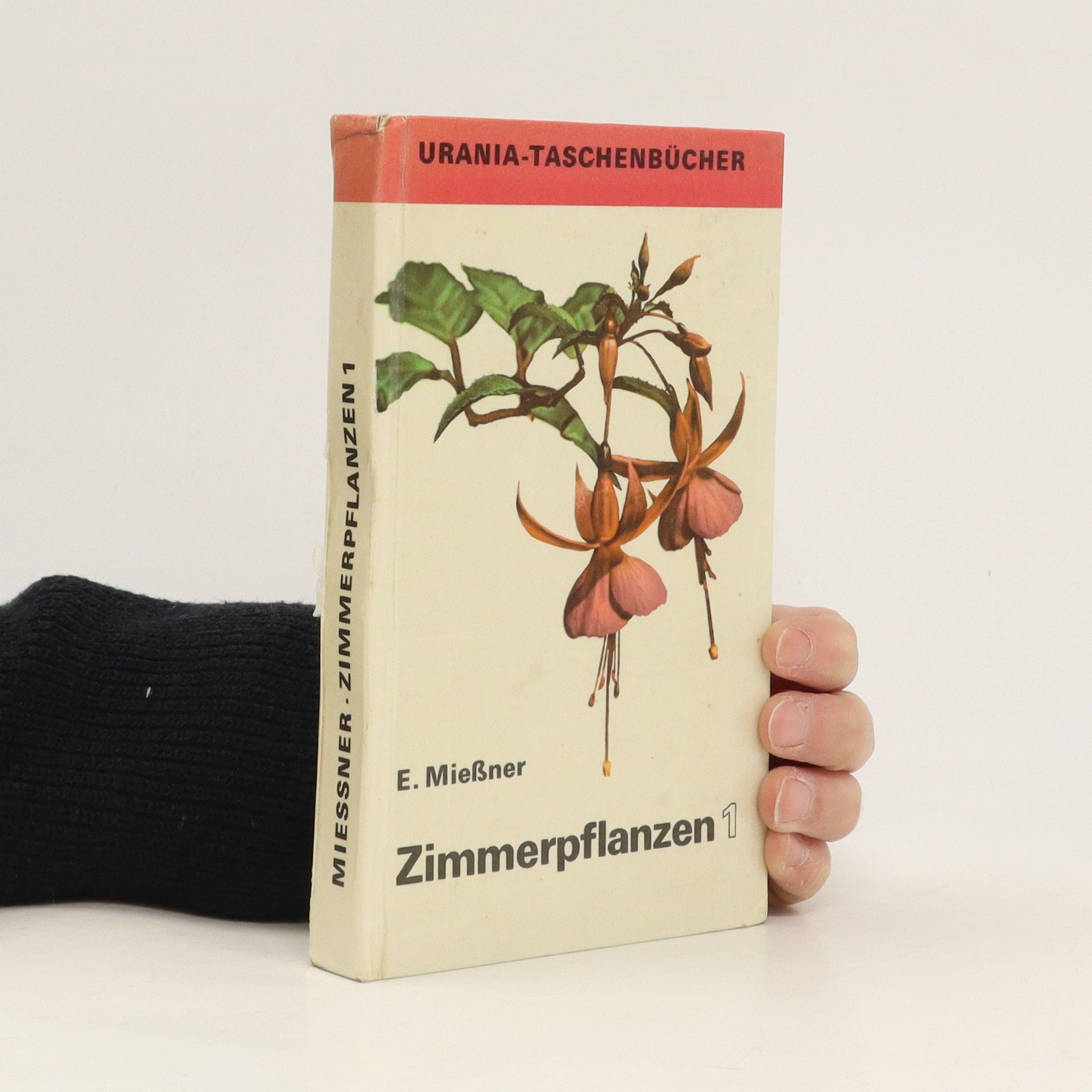 E. Mießner Zimmerpflanzen 1
