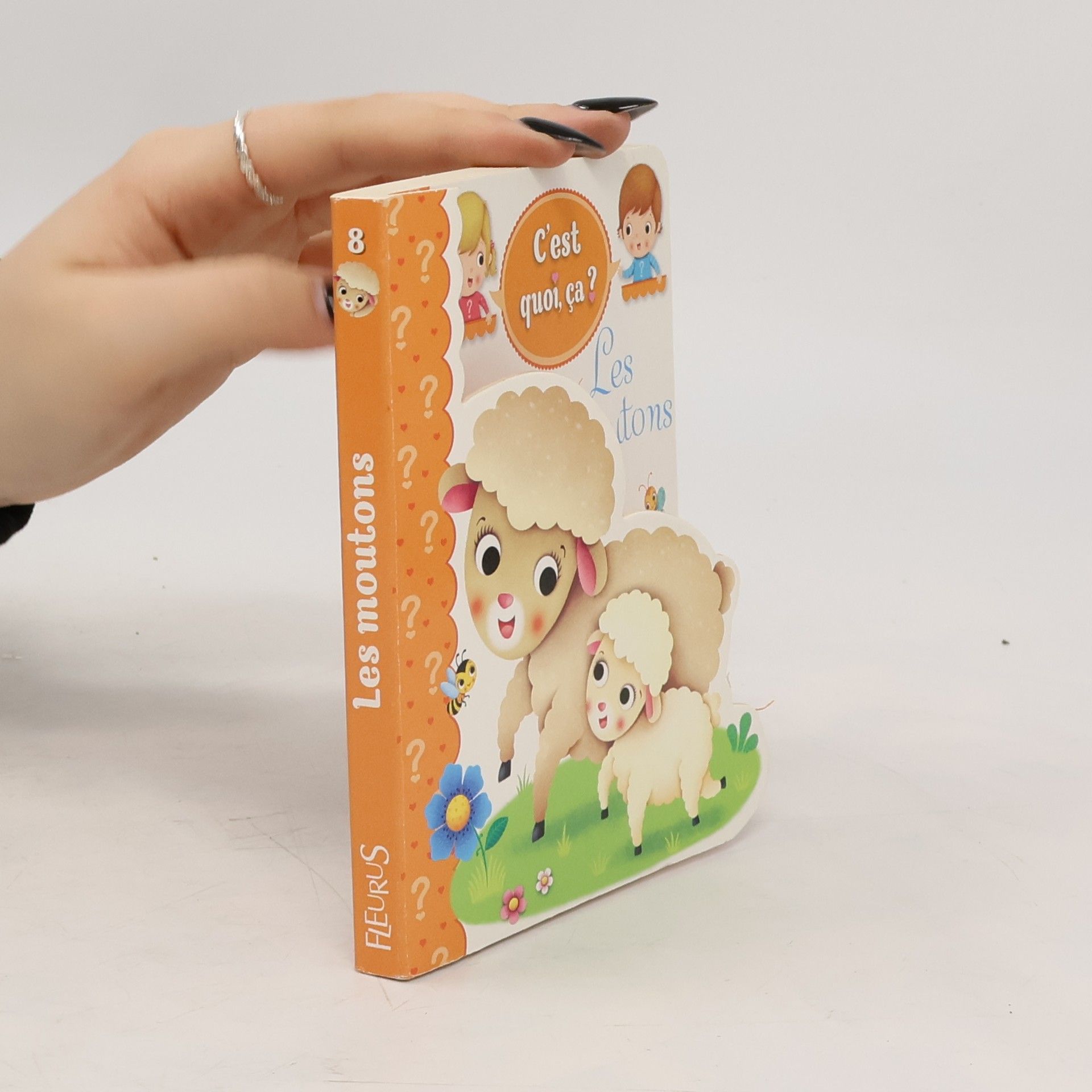 Nathalie Bellineau Les moutons
