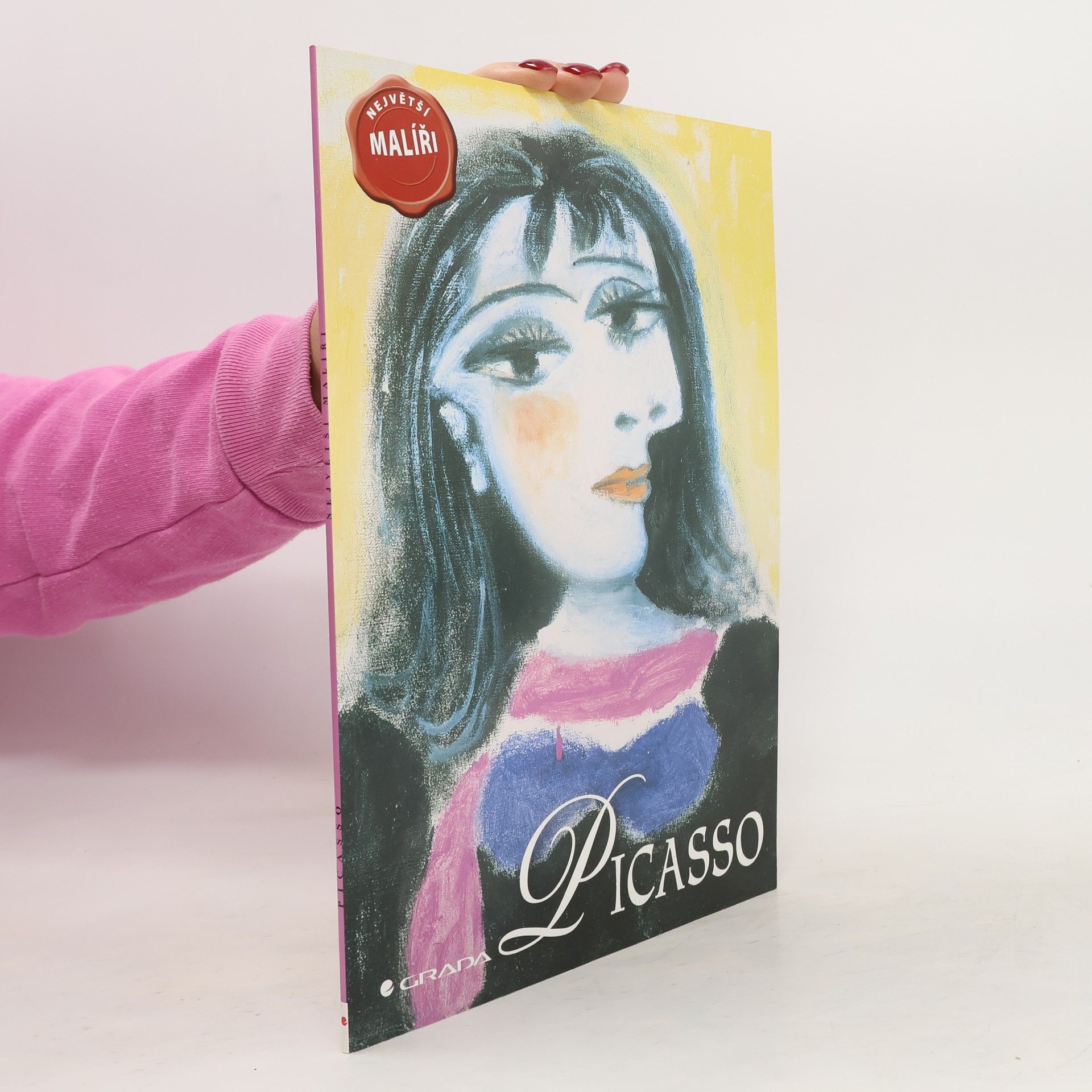 David Spence Picasso