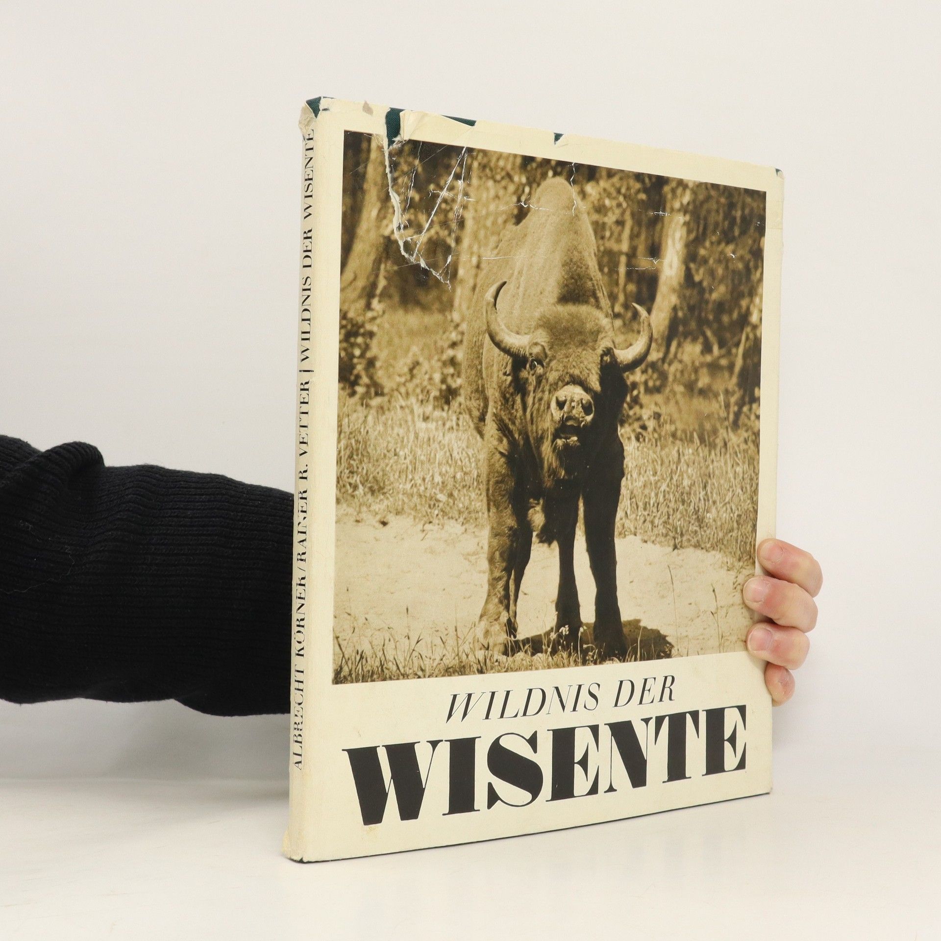 Collective Wildnis der Wisente