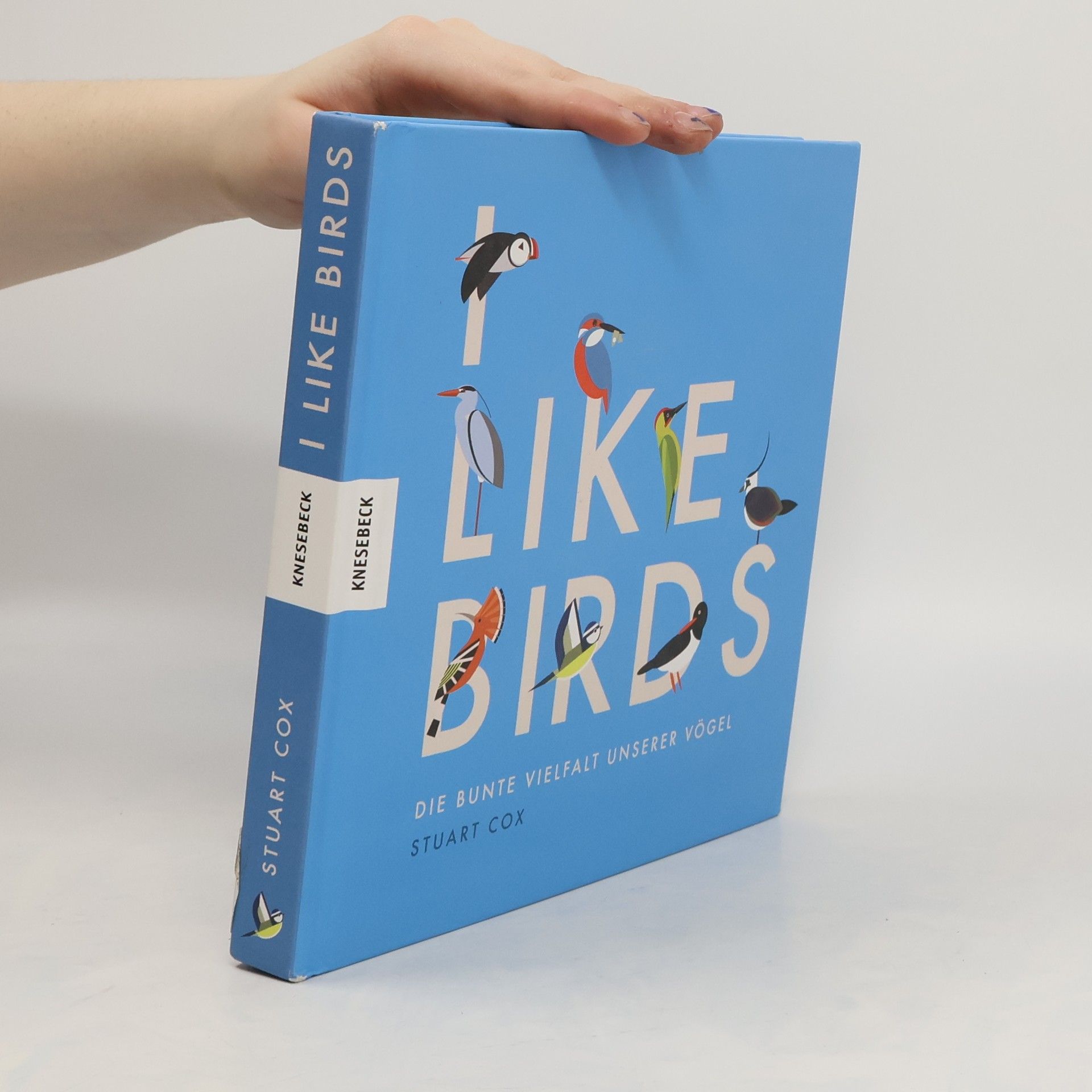 Stuart Cox I like birds