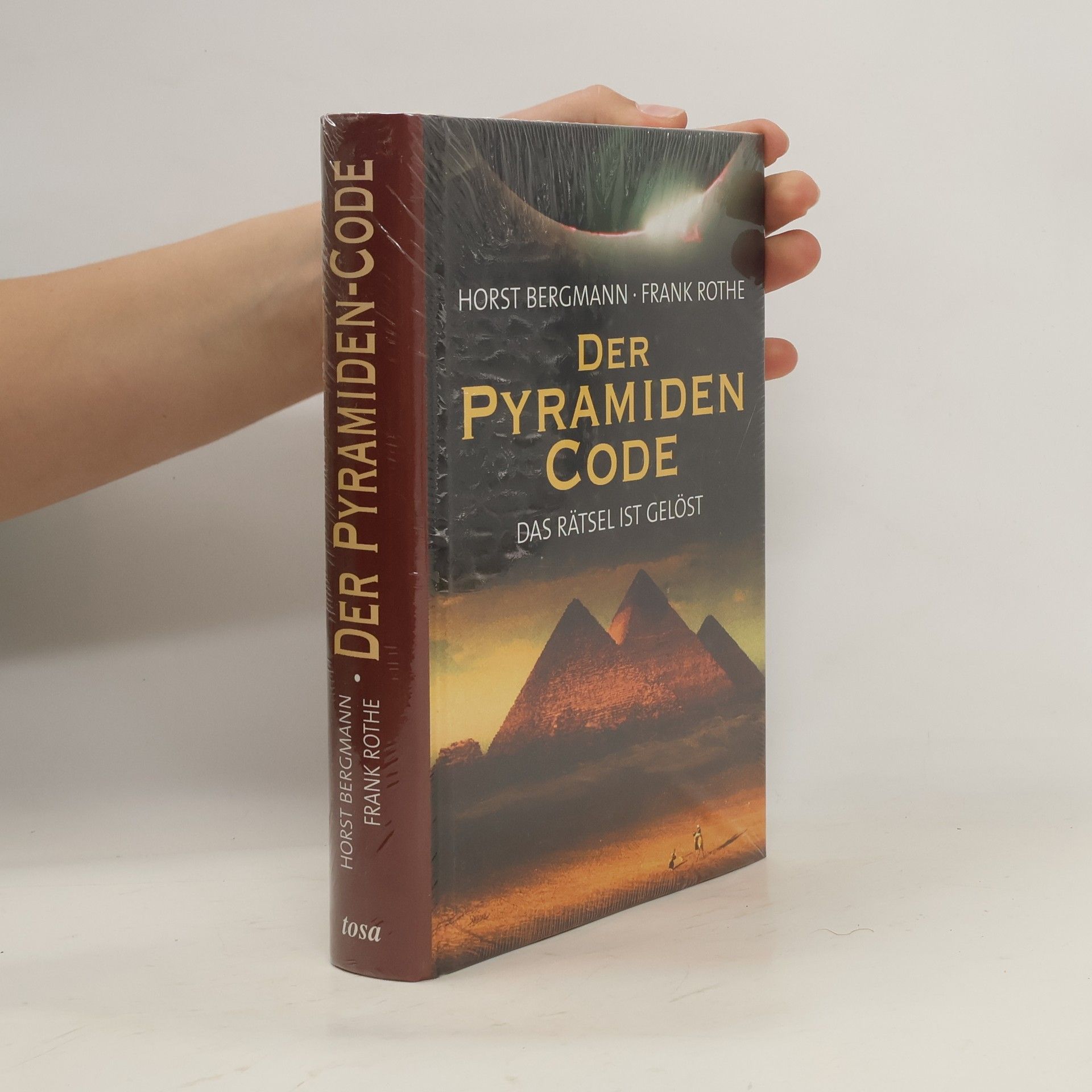 Horst Bergmann Der Pyramiden-Code