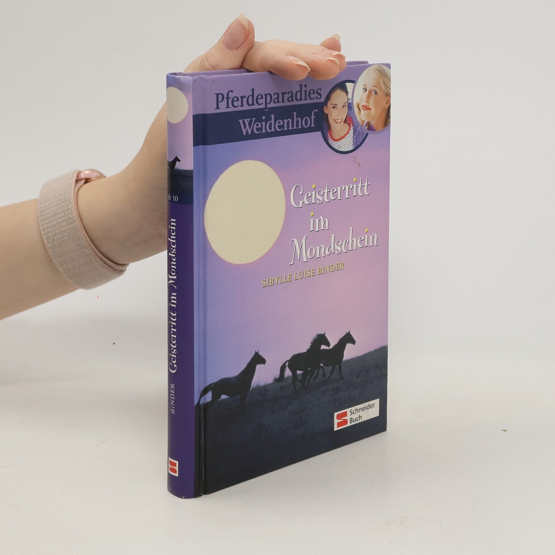 Sibylle Luise Binder Geisterritt im Mondschein. Pferdeparadies Weidenhof