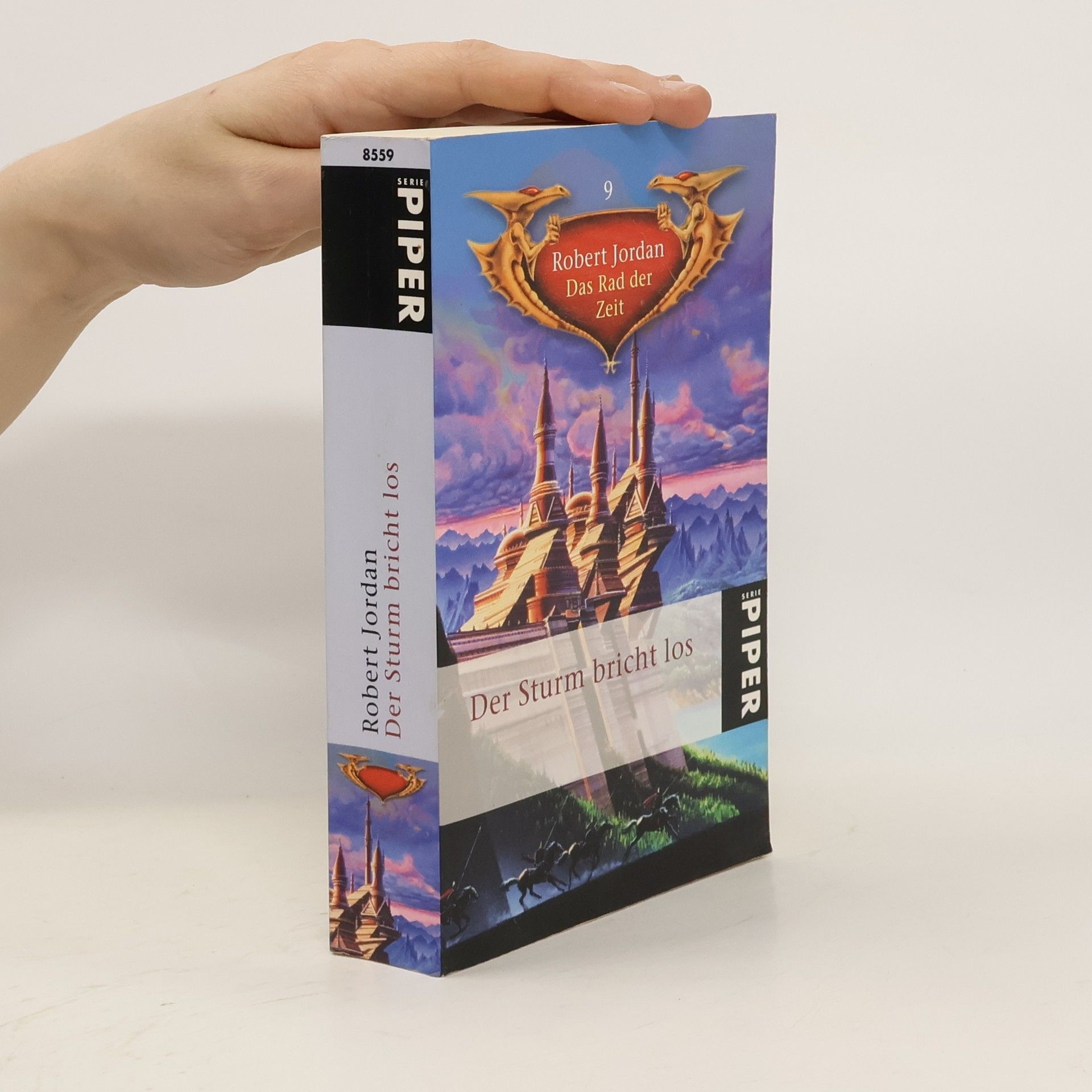 Robert Jordan Der Sturm bricht los
