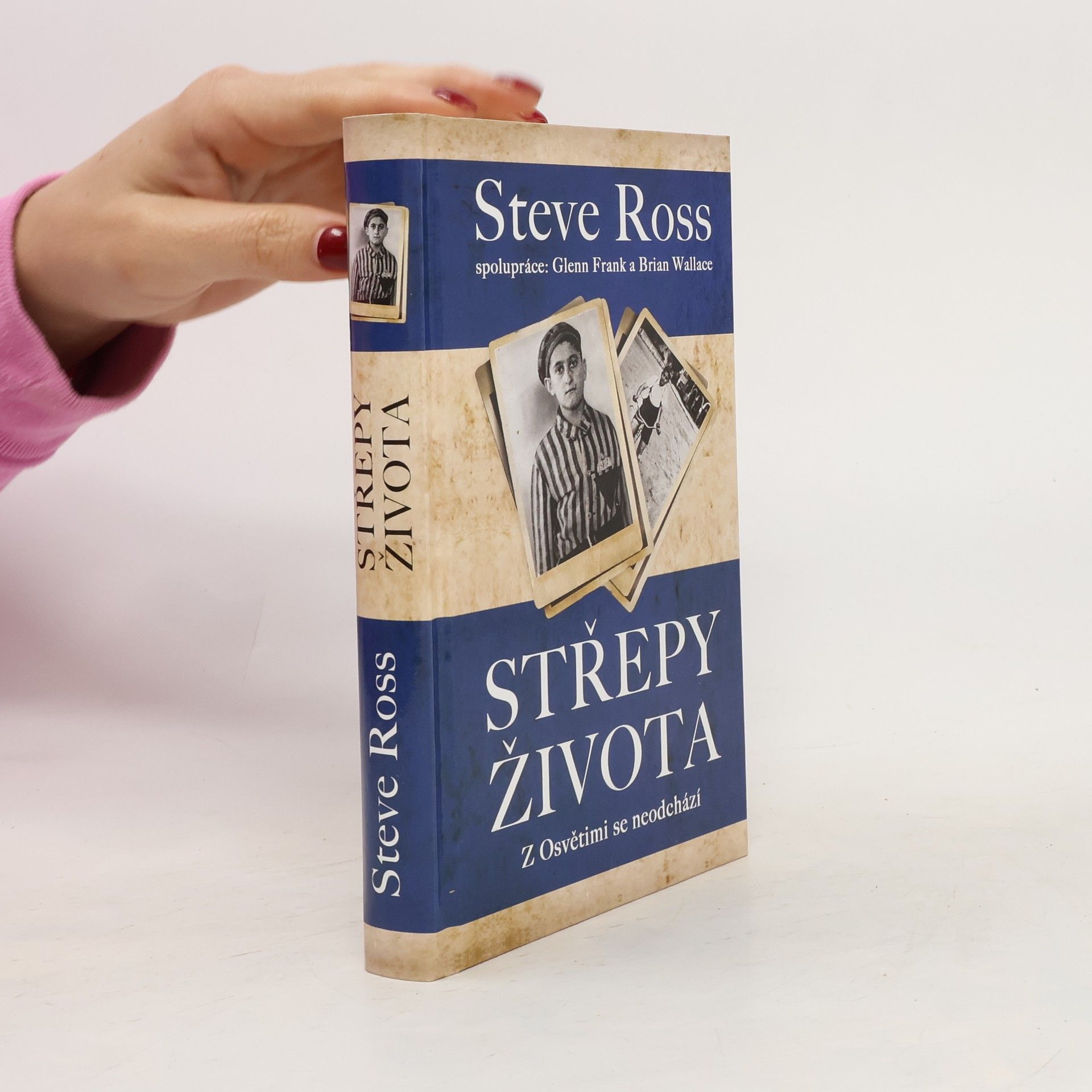 Brian Wallace Střepy života