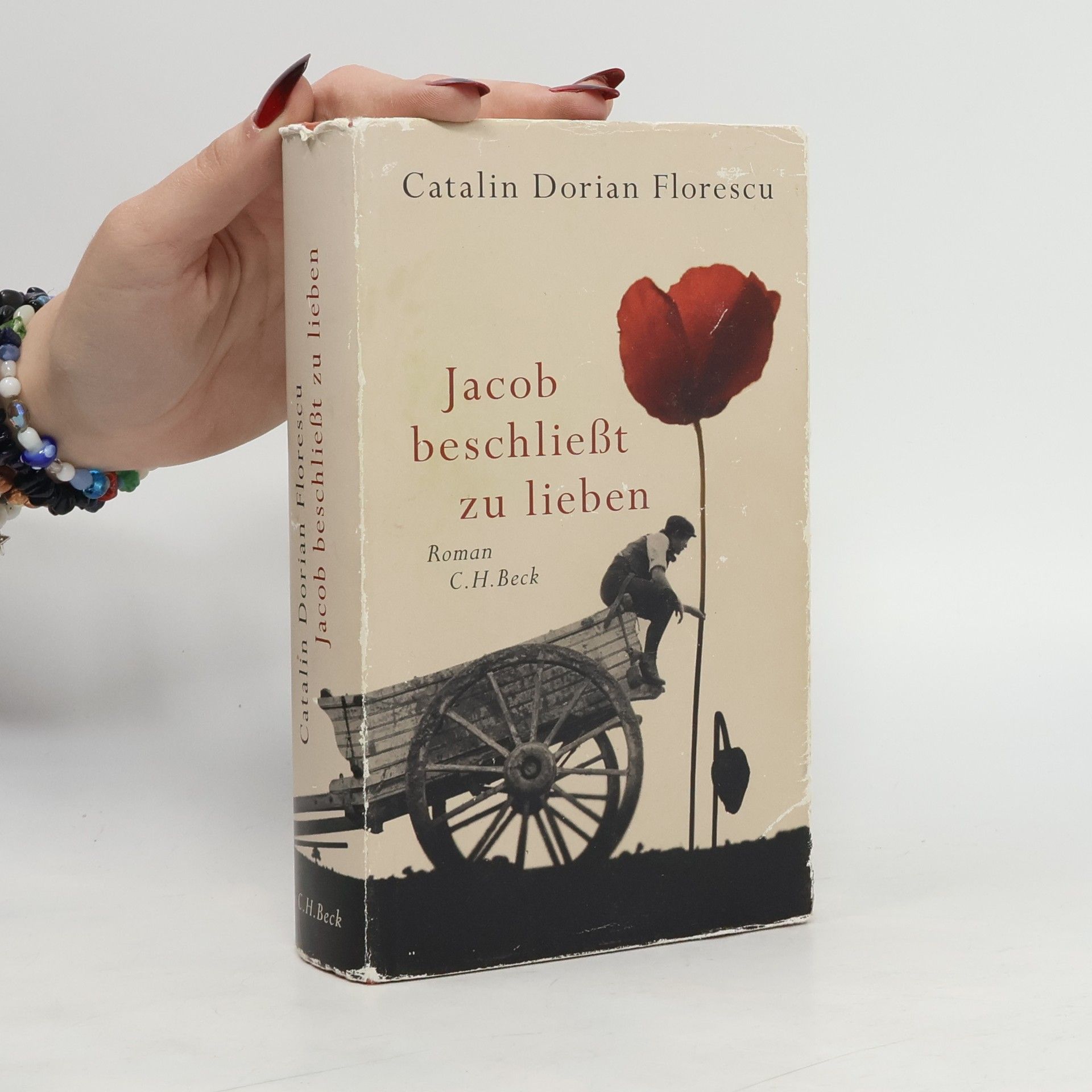 Catalin Dorian Florescu Jacob beschließt zu lieben
