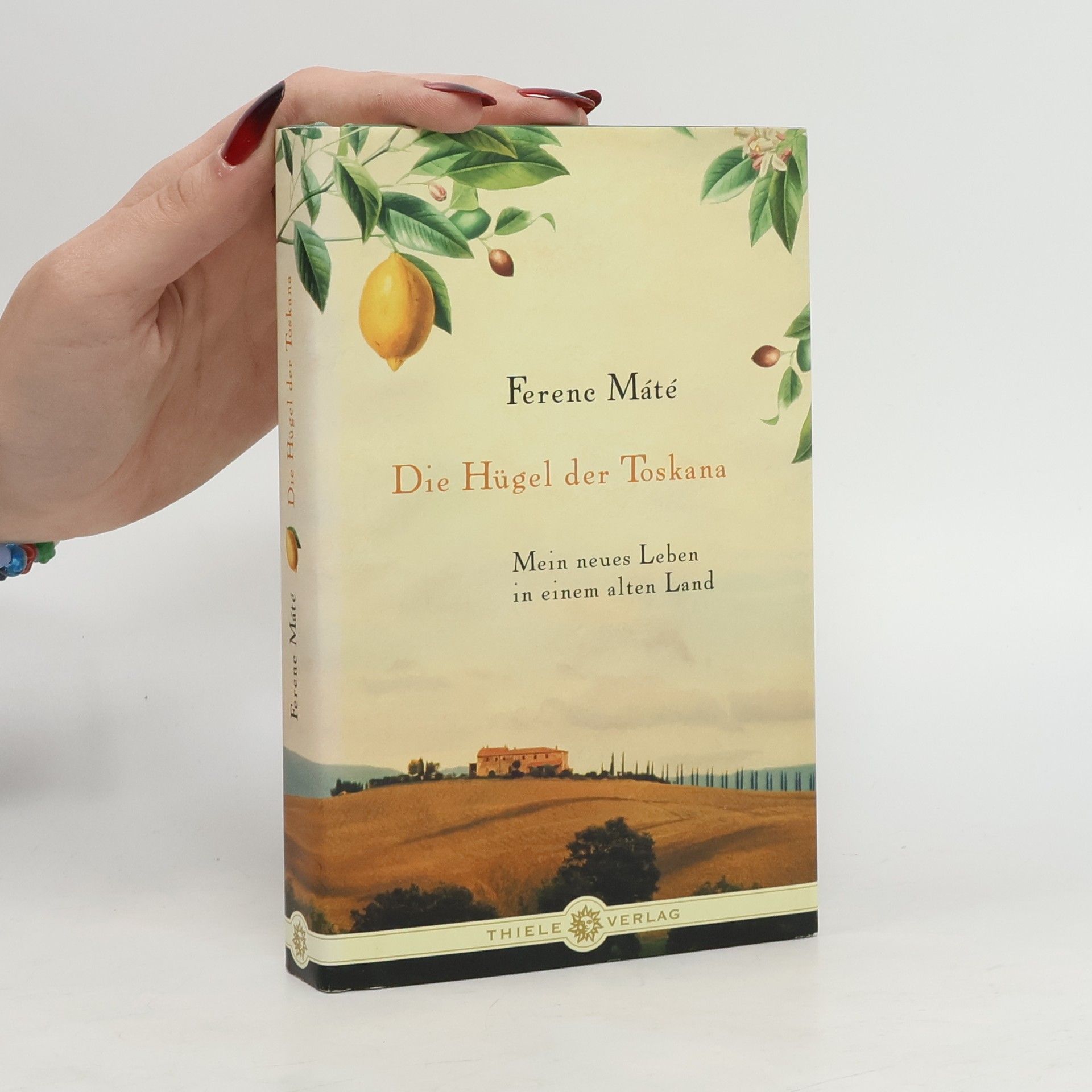 Ferenc Máté Die Hügel der Toskana