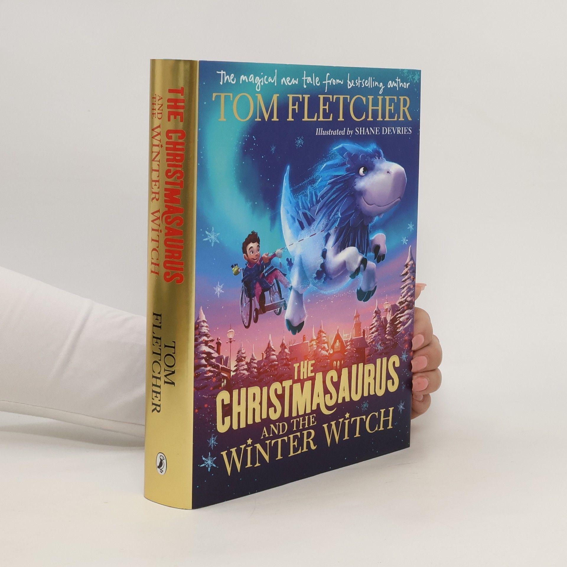 Tom Fletcher The Christmasaurus and the Winter Witch