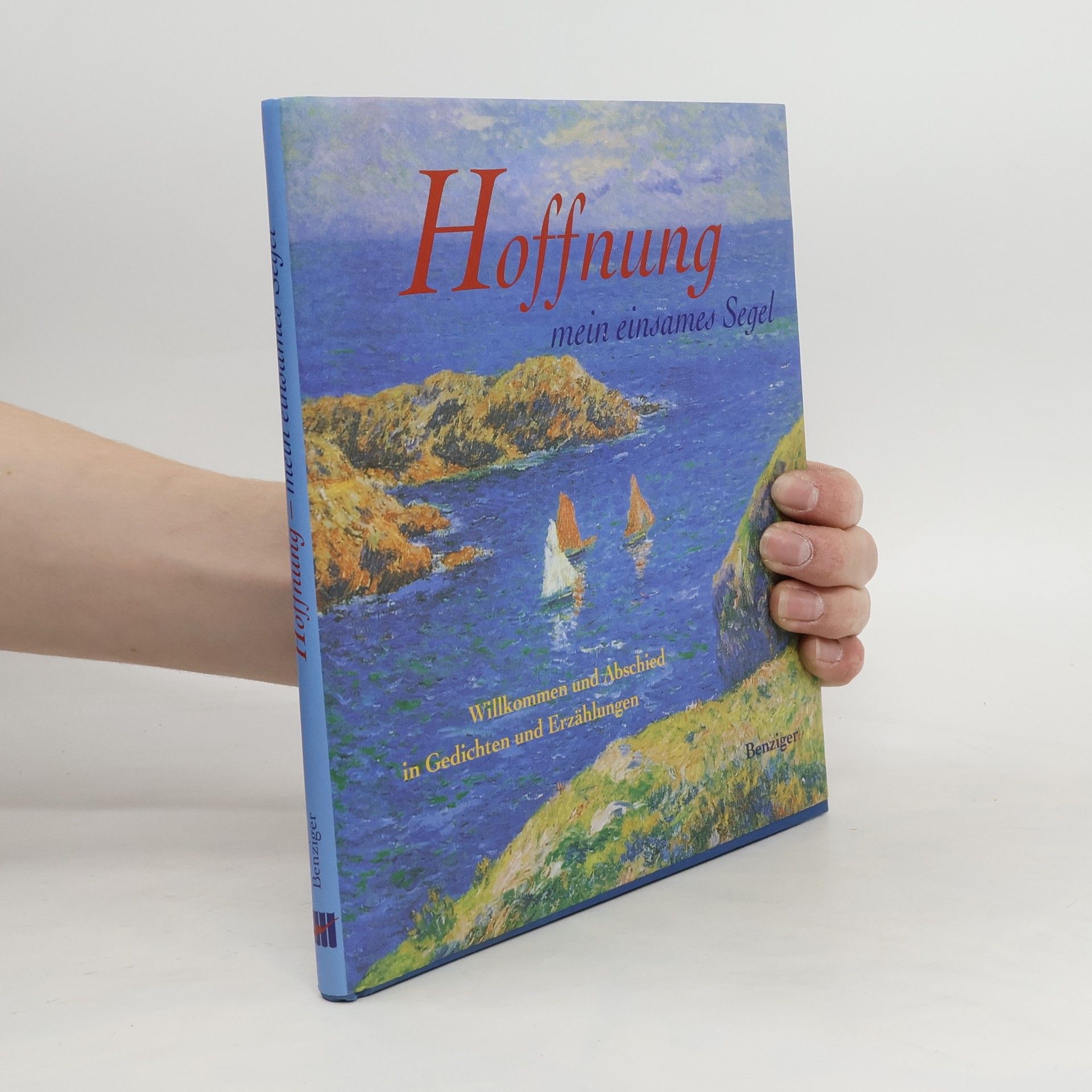 Collectif d'auteurs Hoffnung - mein einsames Segel