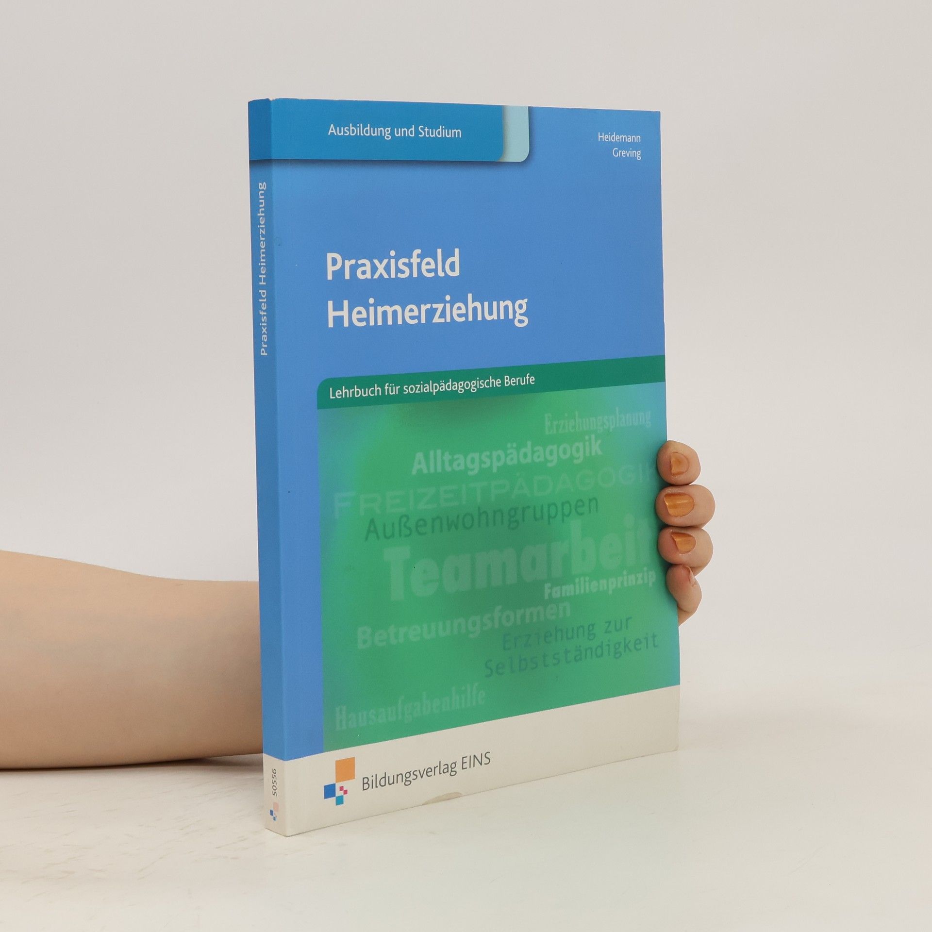 Wilhelm Heidemann Praxisfeld Heimerziehung
