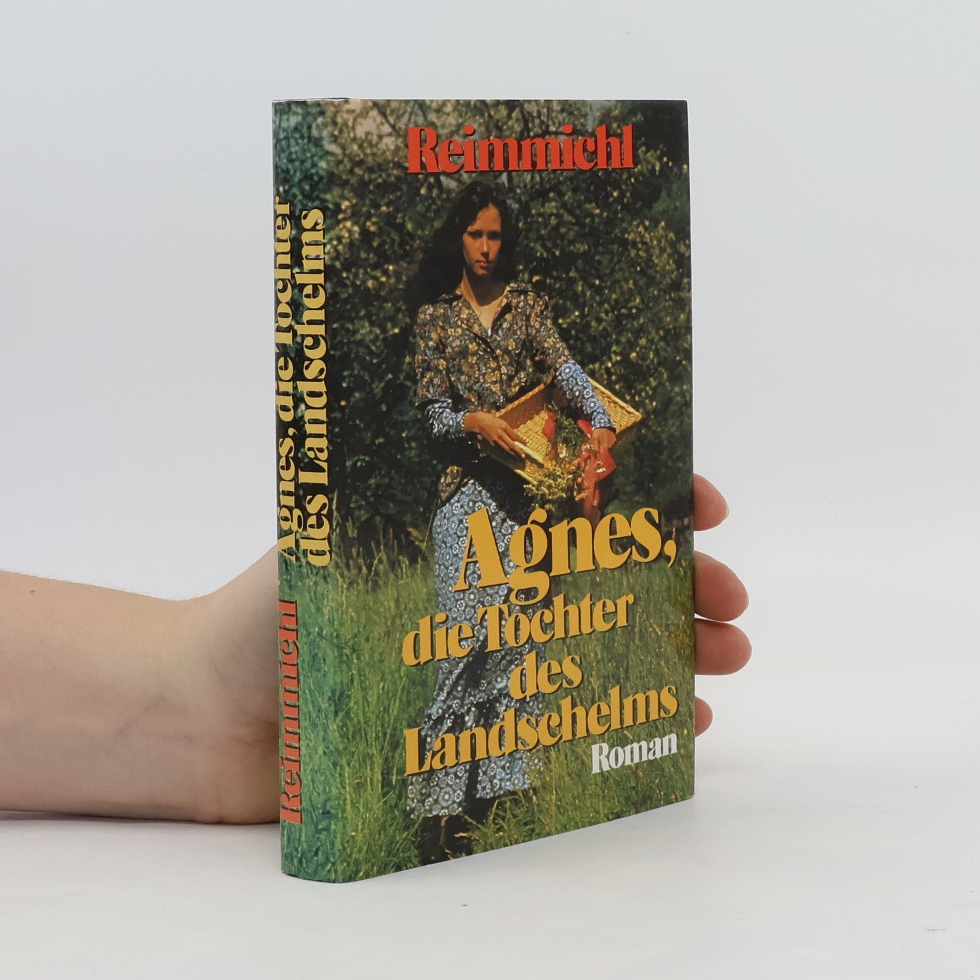 Reimmichl Agnes, die Tochter des Landschelms