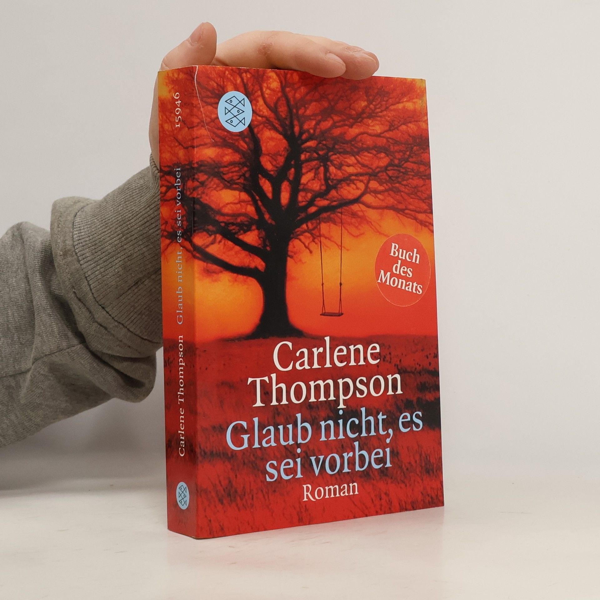 Carlene Thompson Glaub nicht, es sei vorbei