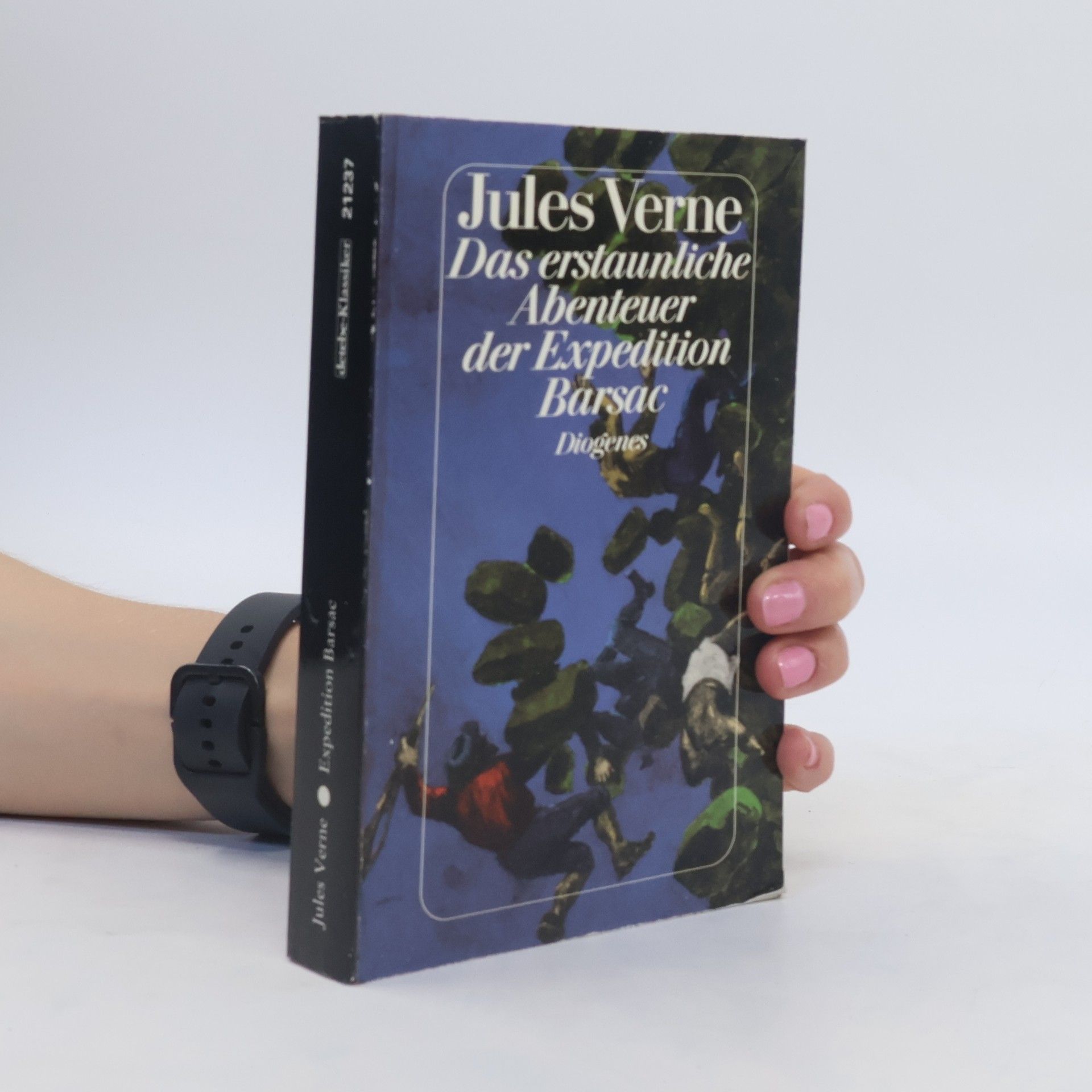 Jules Verne Das erstaunliche Abenteuer der Expedition Barsac