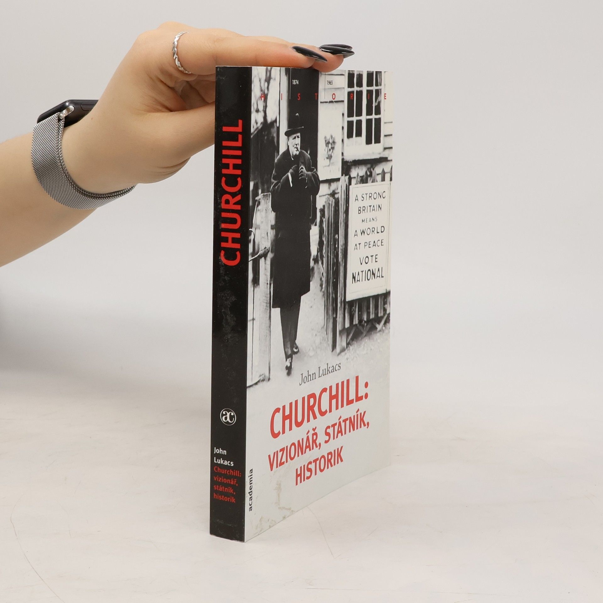 John Lukacs Churchill: vizionář, státník, historik