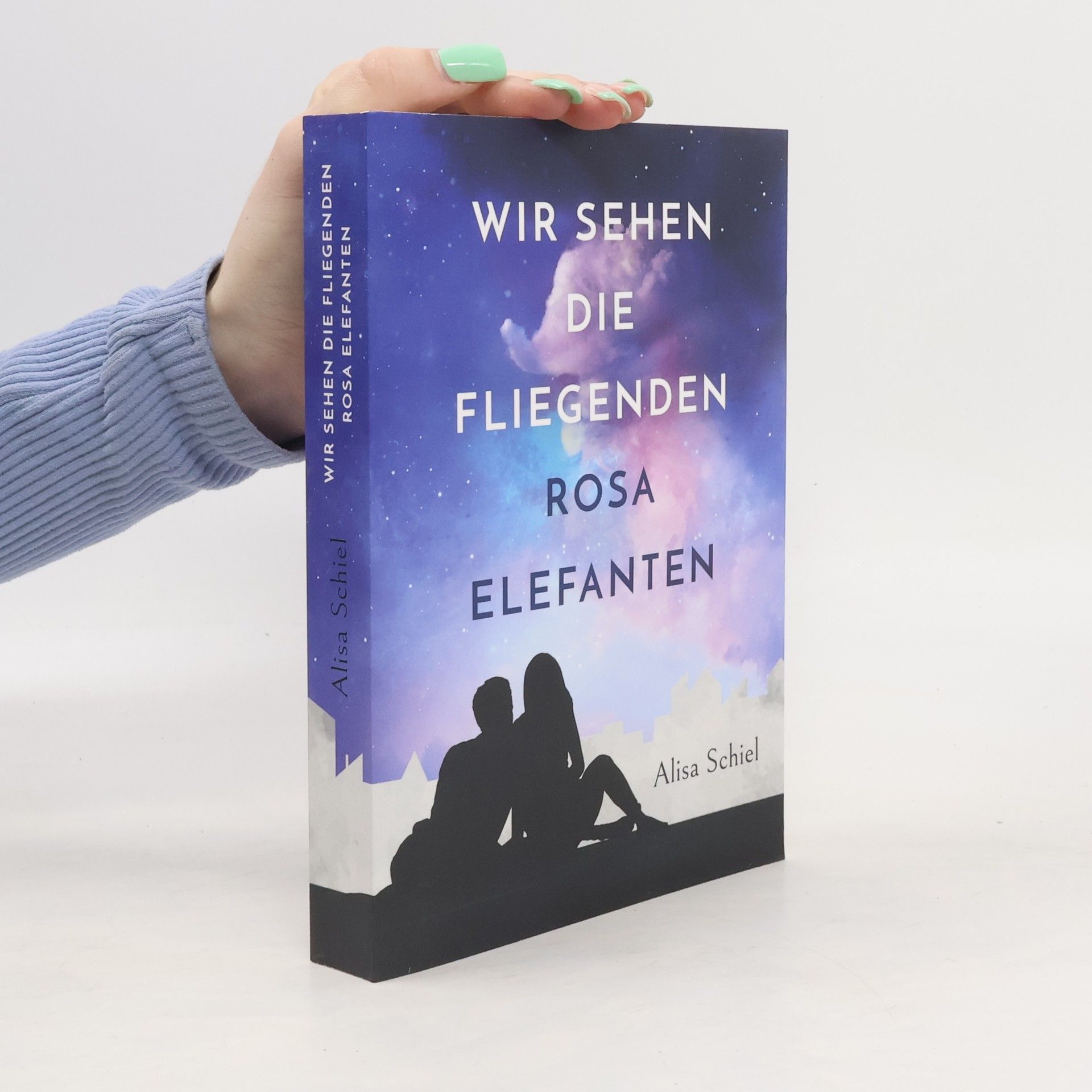 Alisa Schiel Wir sehen die fliegenden rosa Elefanten