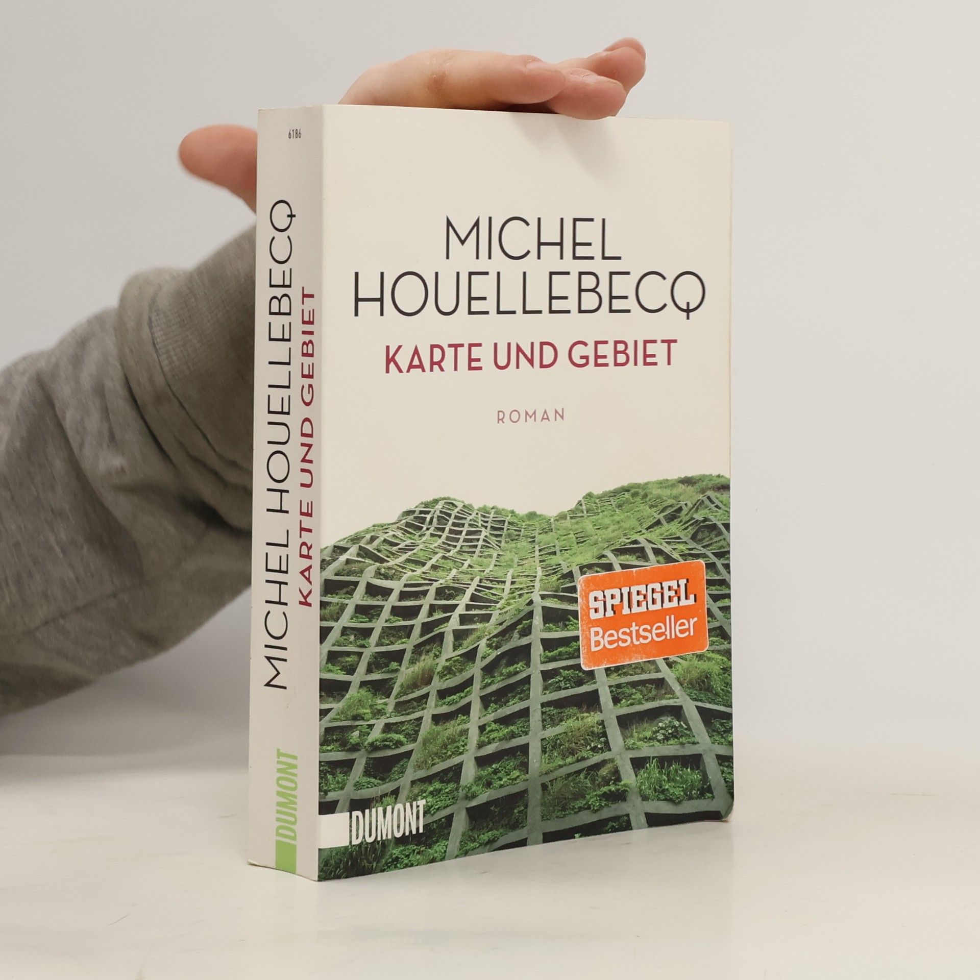 Michel Houellebecq Karte und Gebiet