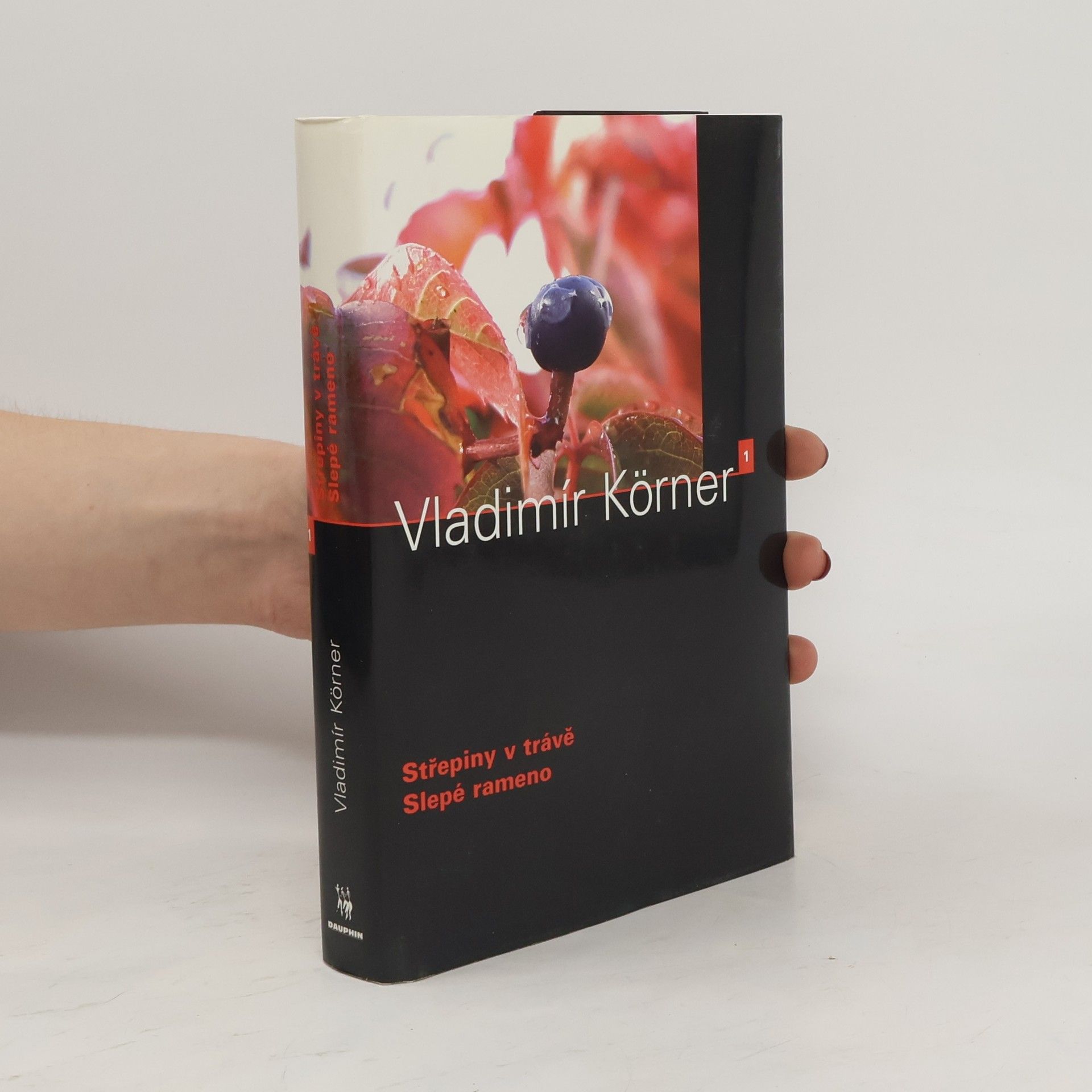 Vladimír Körner Střepiny v trávě / Slepé rameno