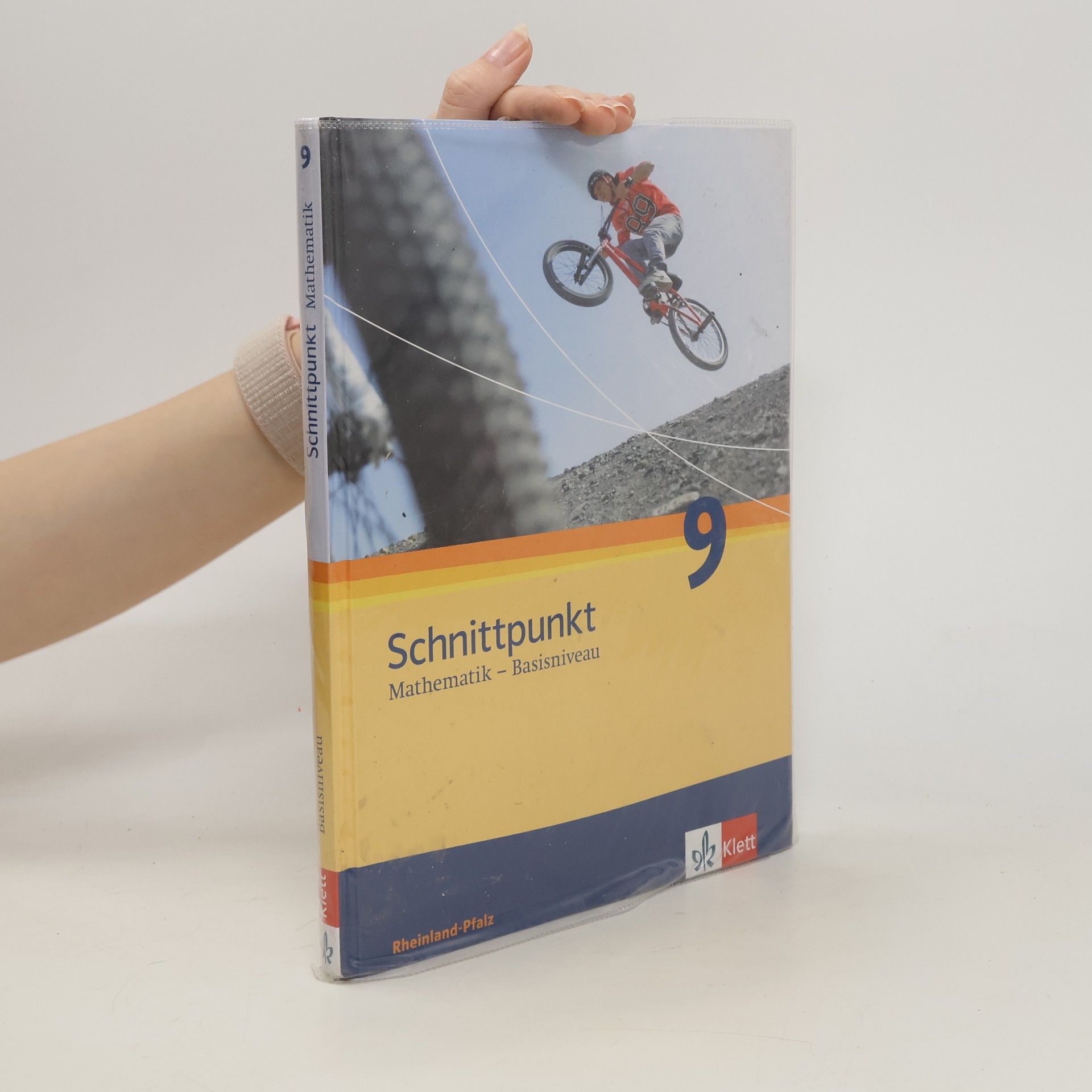 Autorenkollektiv Schnittpunkt 9 - Mathematik Basisniveau