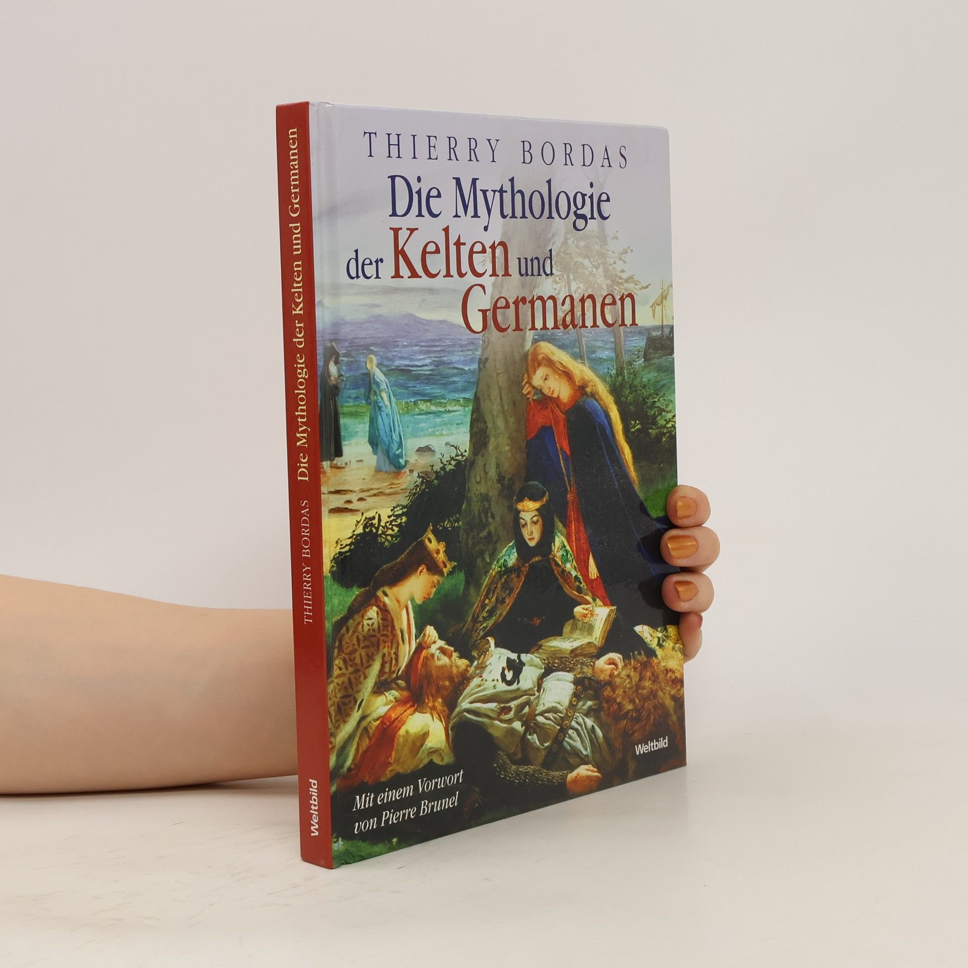 Thierry Bordas Die Mythologie Der Kelten und Germanen