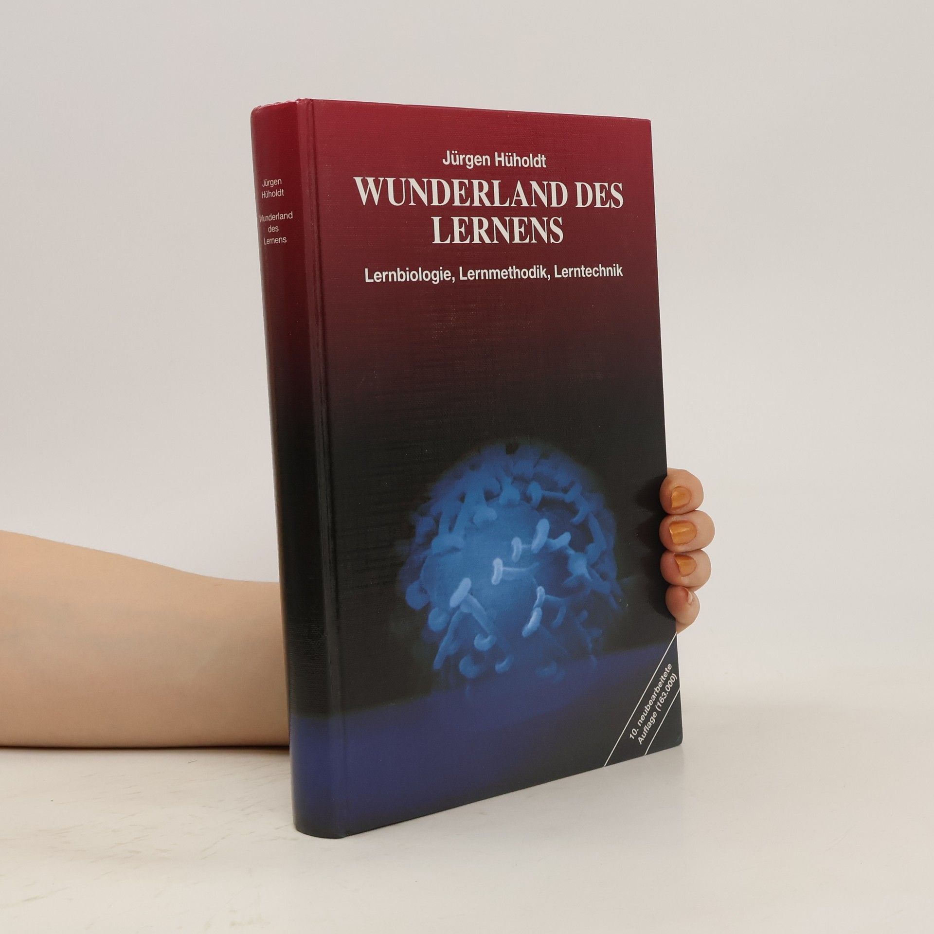 Jürgen Hüholdt Wunderland des Lernens