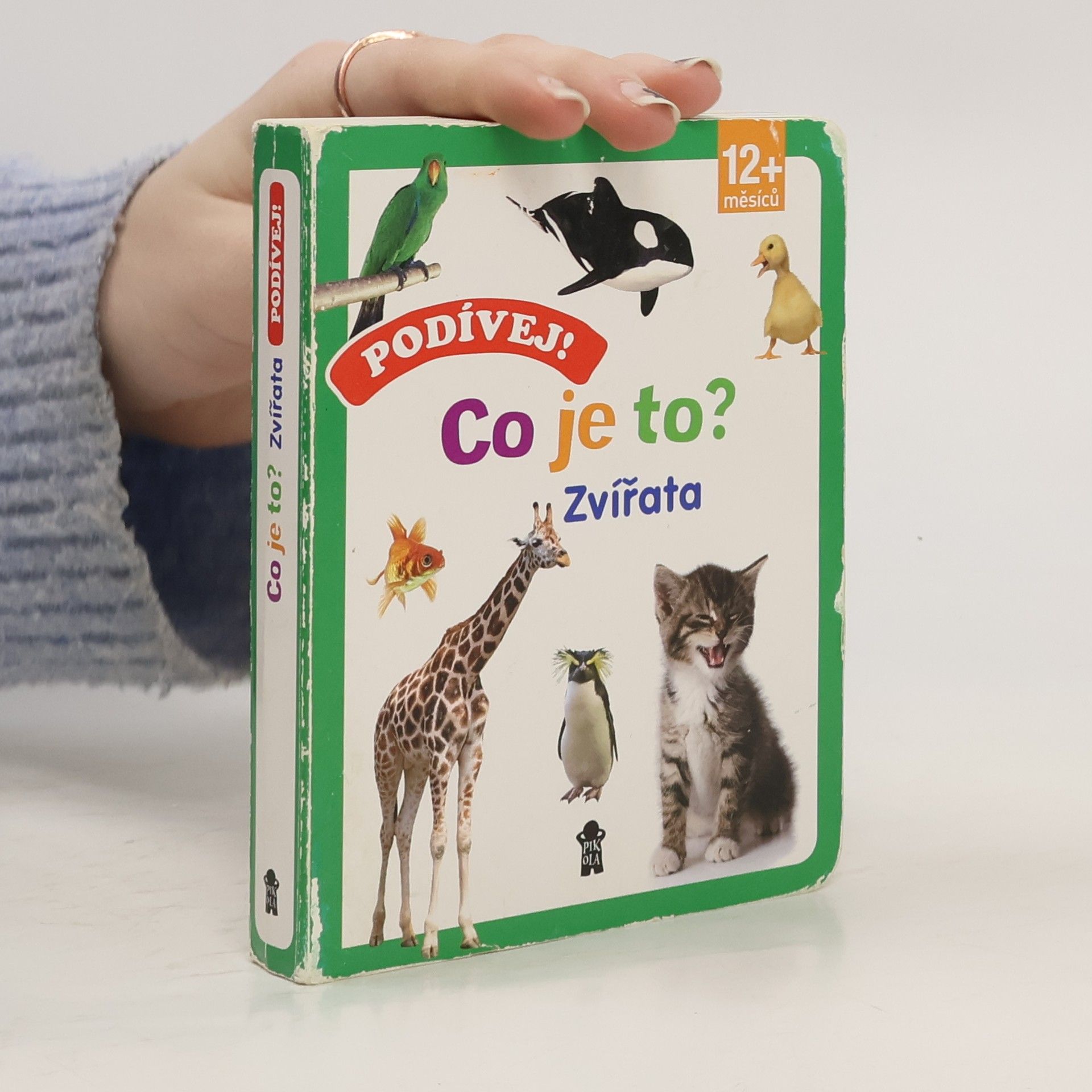 kolektiv Podívej! Co je to?. Zvířata Zvířata