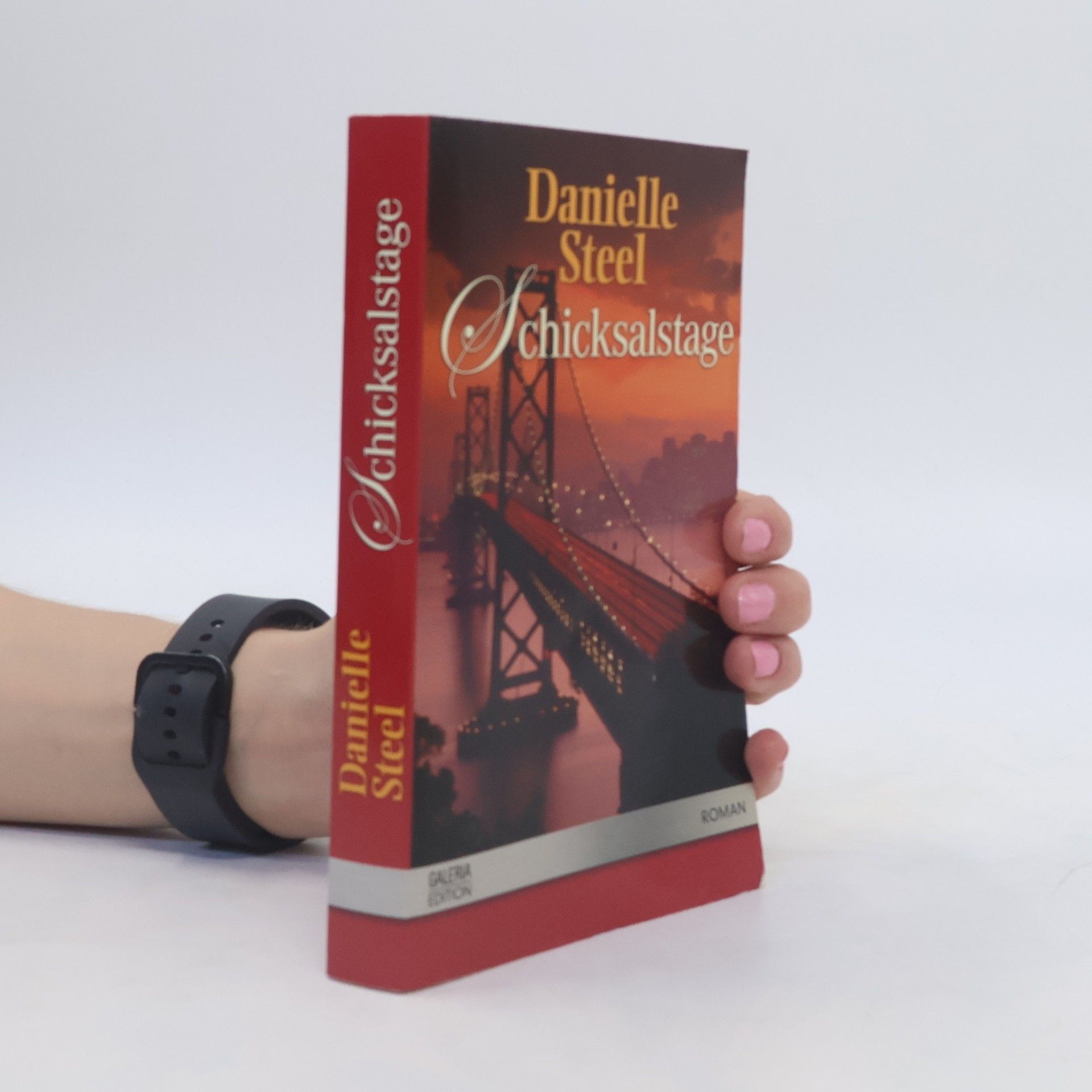 Danielle Steel Schicksalstage