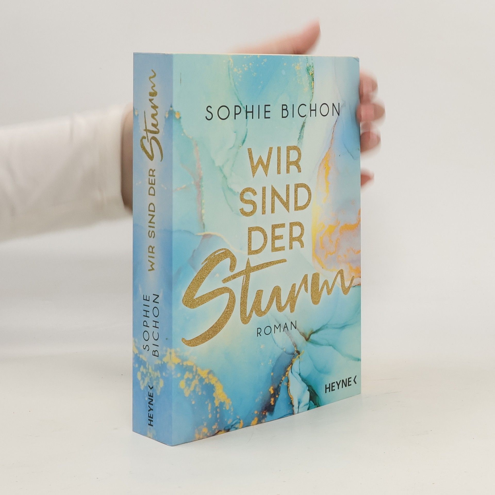 Sophie Bichon Wir sind der Sturm