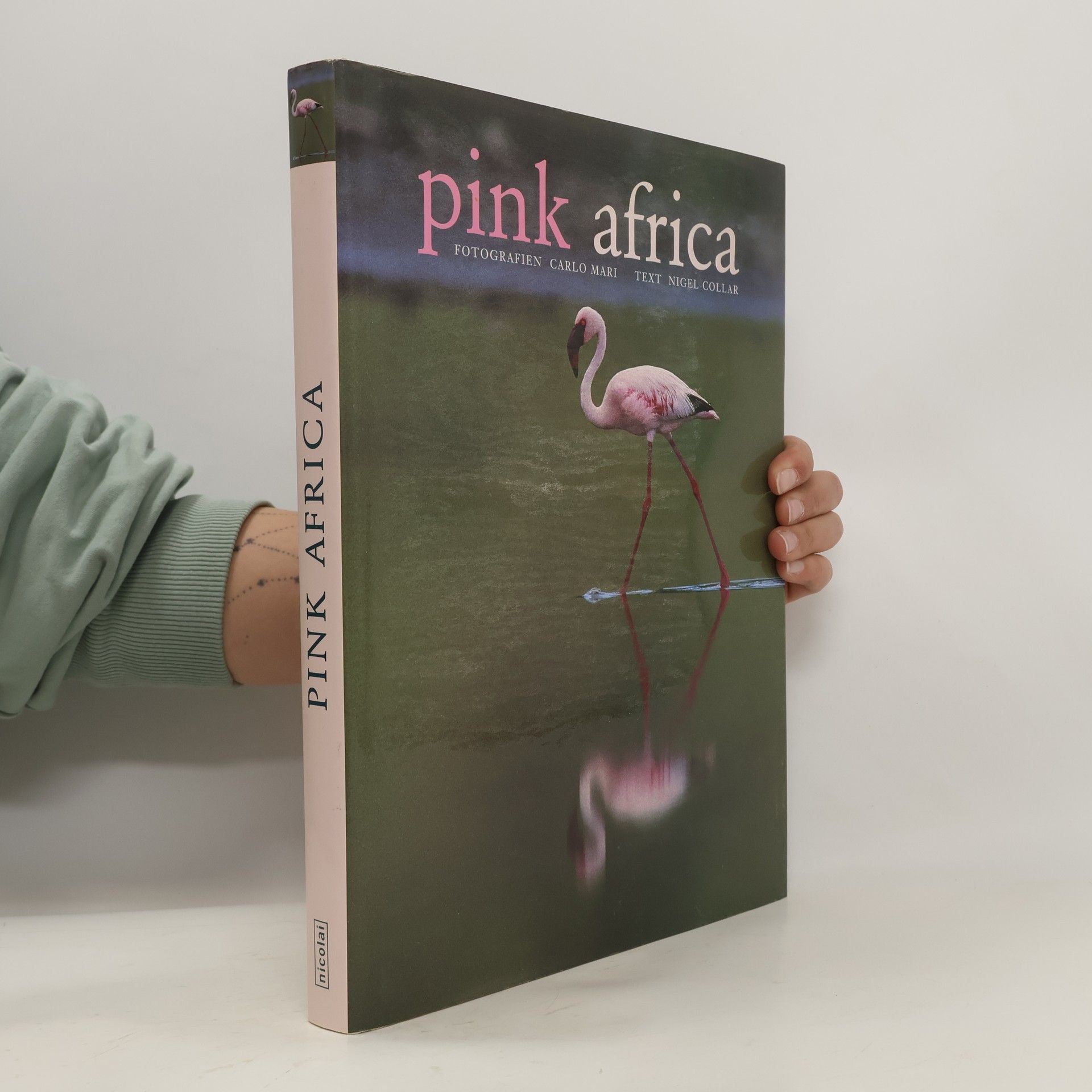 Carlo Mari Pink Africa