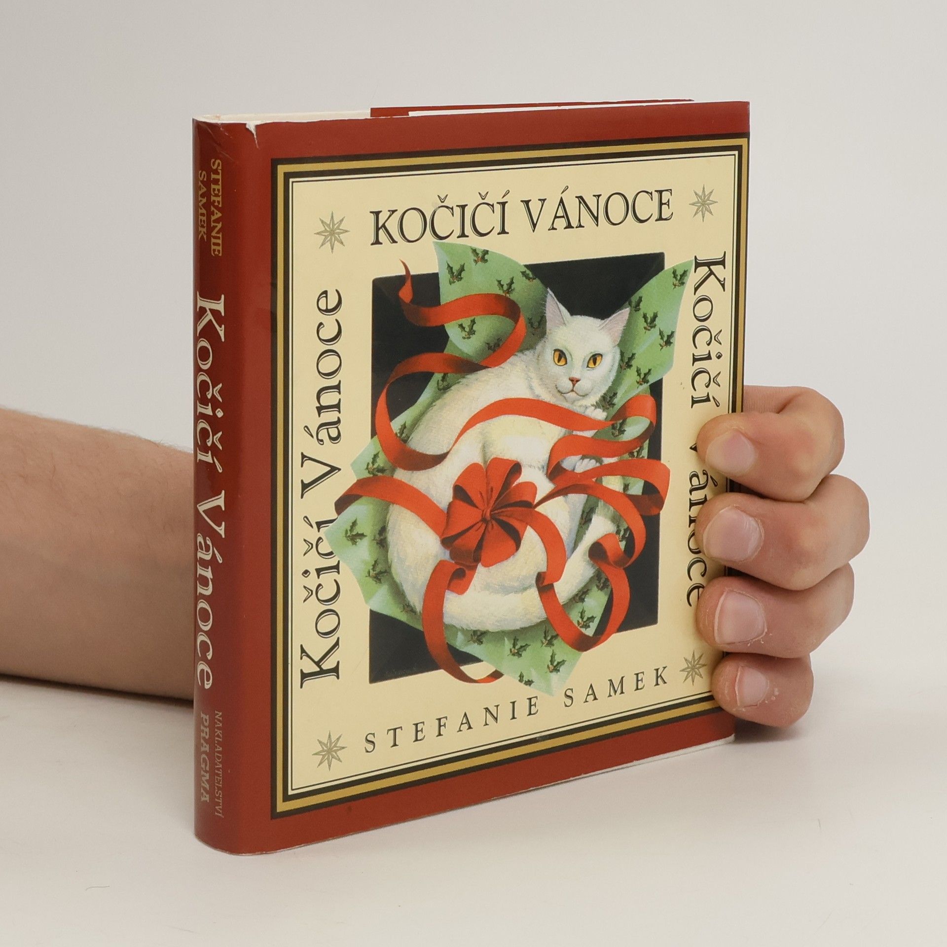 Stefanie Samek Kočičí vánoce