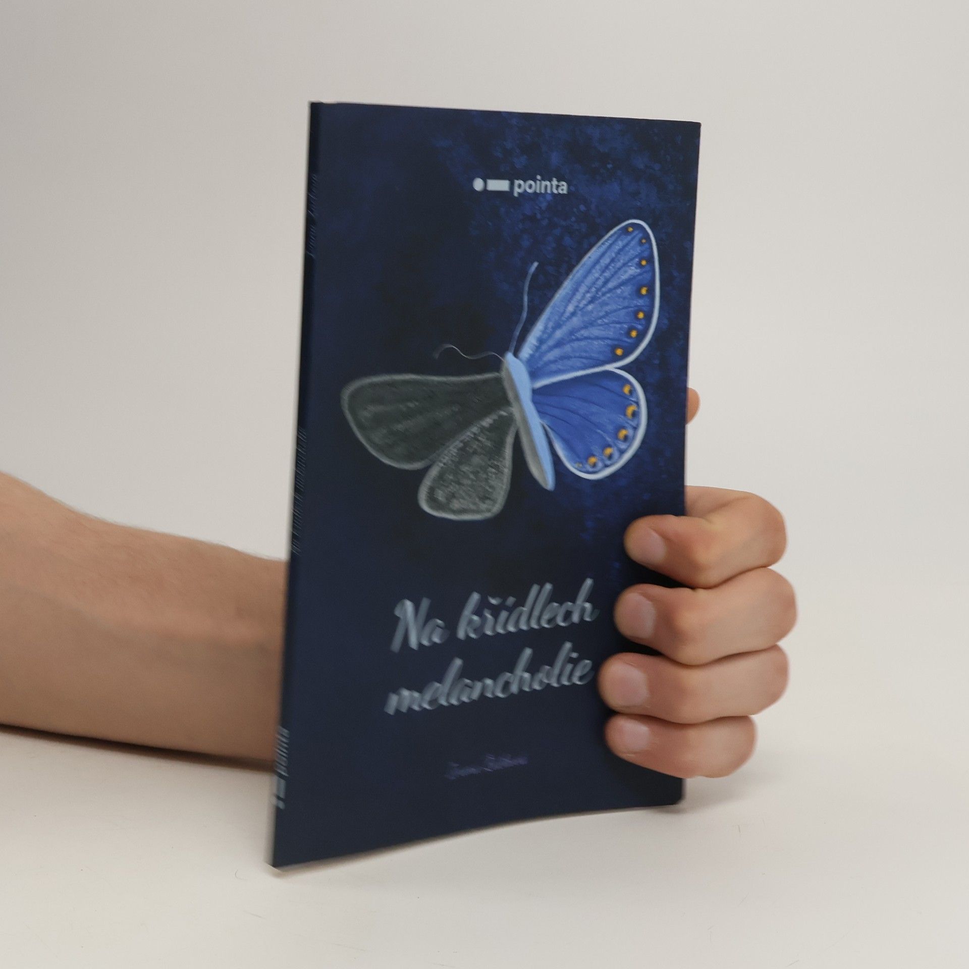 Ivana Žáčková Na křídlech melancholie
