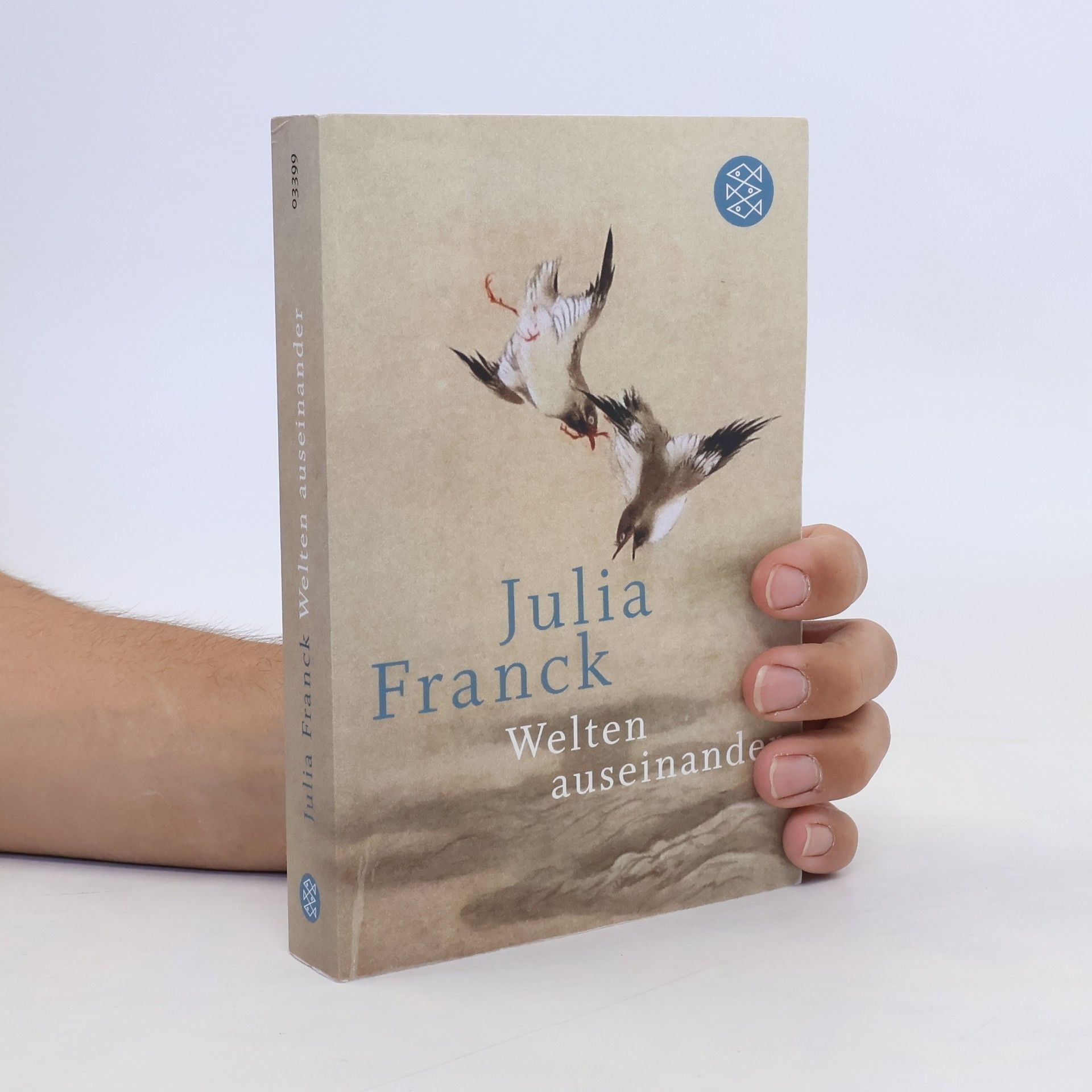 Julia Franck Welten auseinander