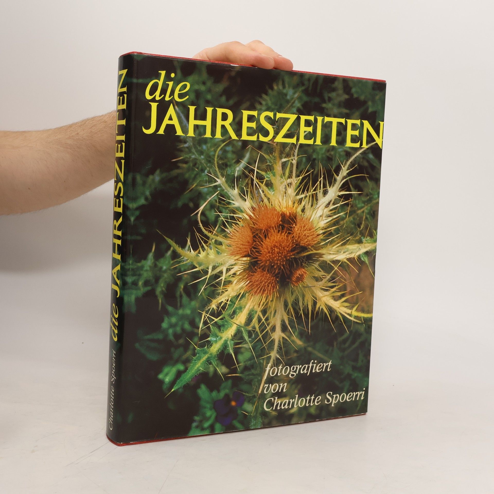 Charlotte Spoerri Die Jahreszeiten
