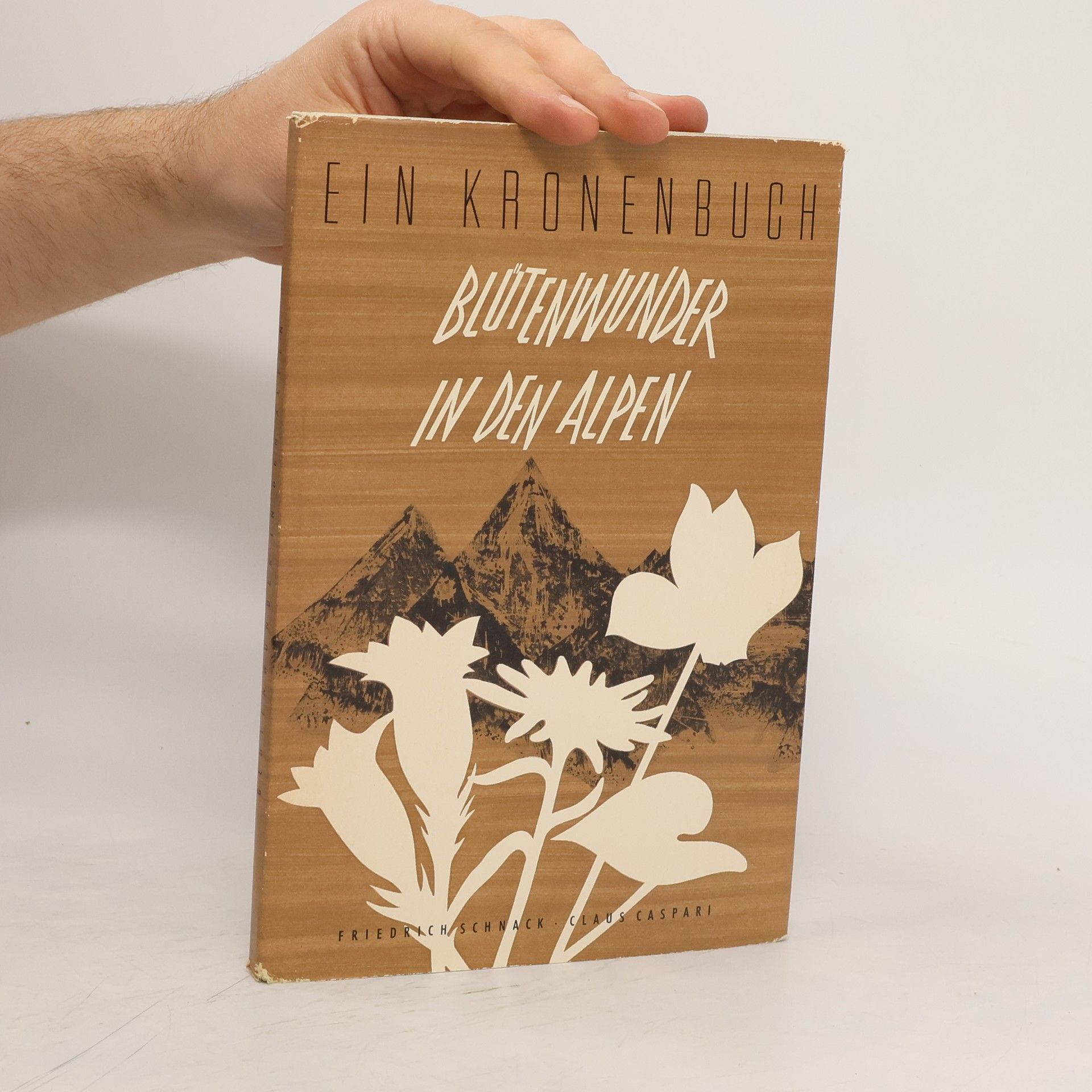 Claus Caspari Blutenwunder in den Alpen