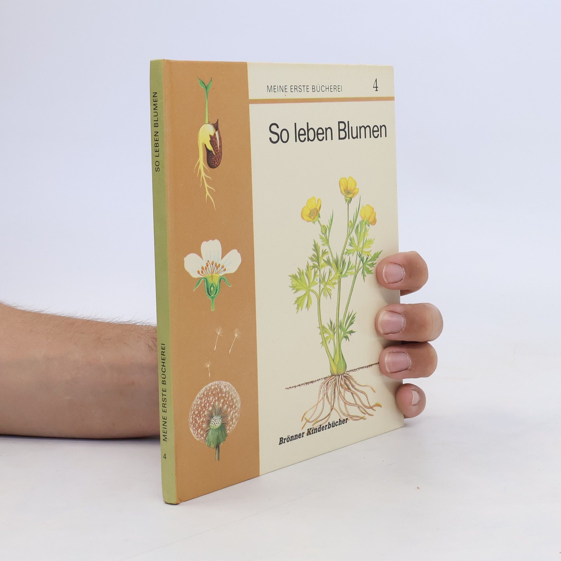 Collectif d'auteurs So leben Blumen 4