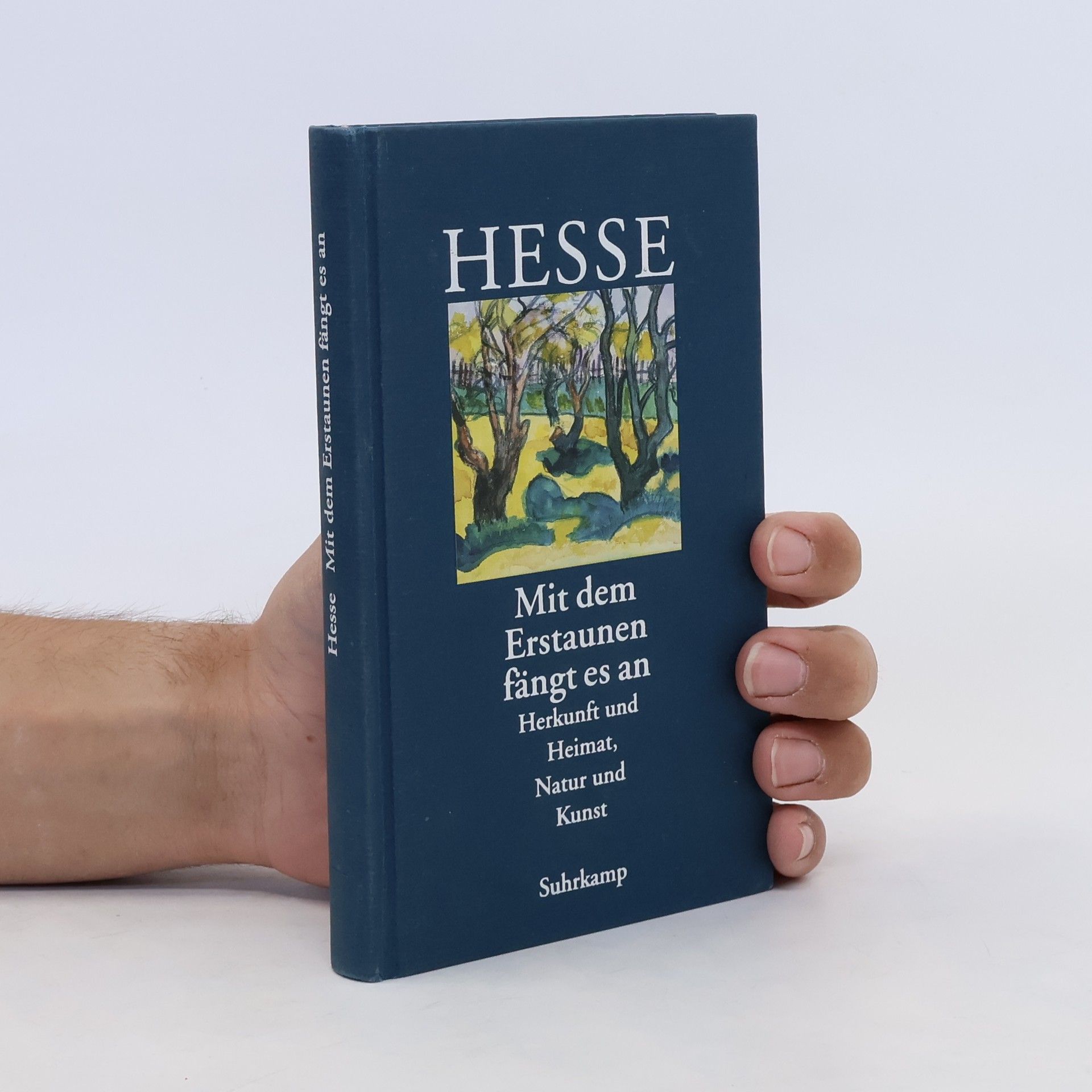 Hermann Hesse Mit dem Erstaunen fängt es an. Herkunft und Heimat