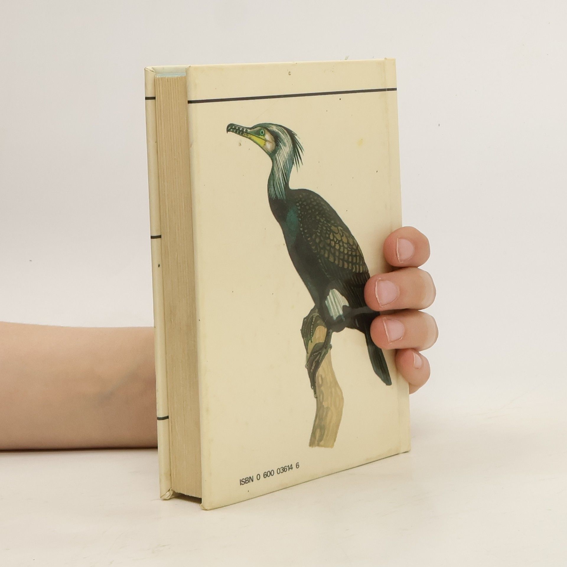 Kolektiv autorů Spotting Birds: A Pocket Guide, 109 Illustrations in Full Colour
