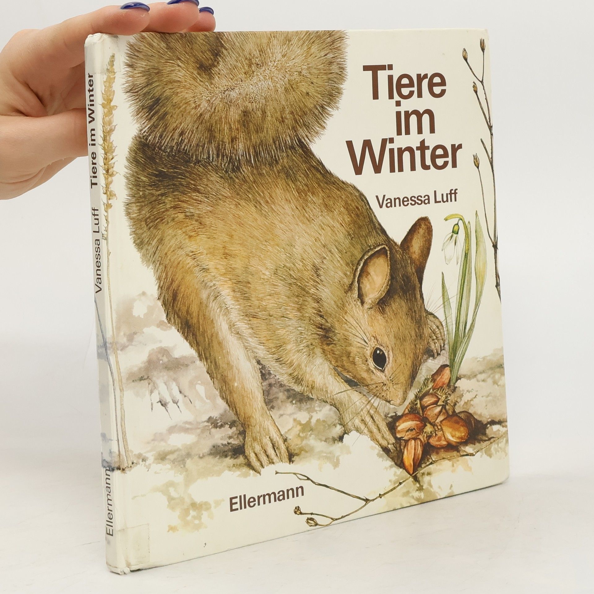 Vanessa Luff Tiere im Winter