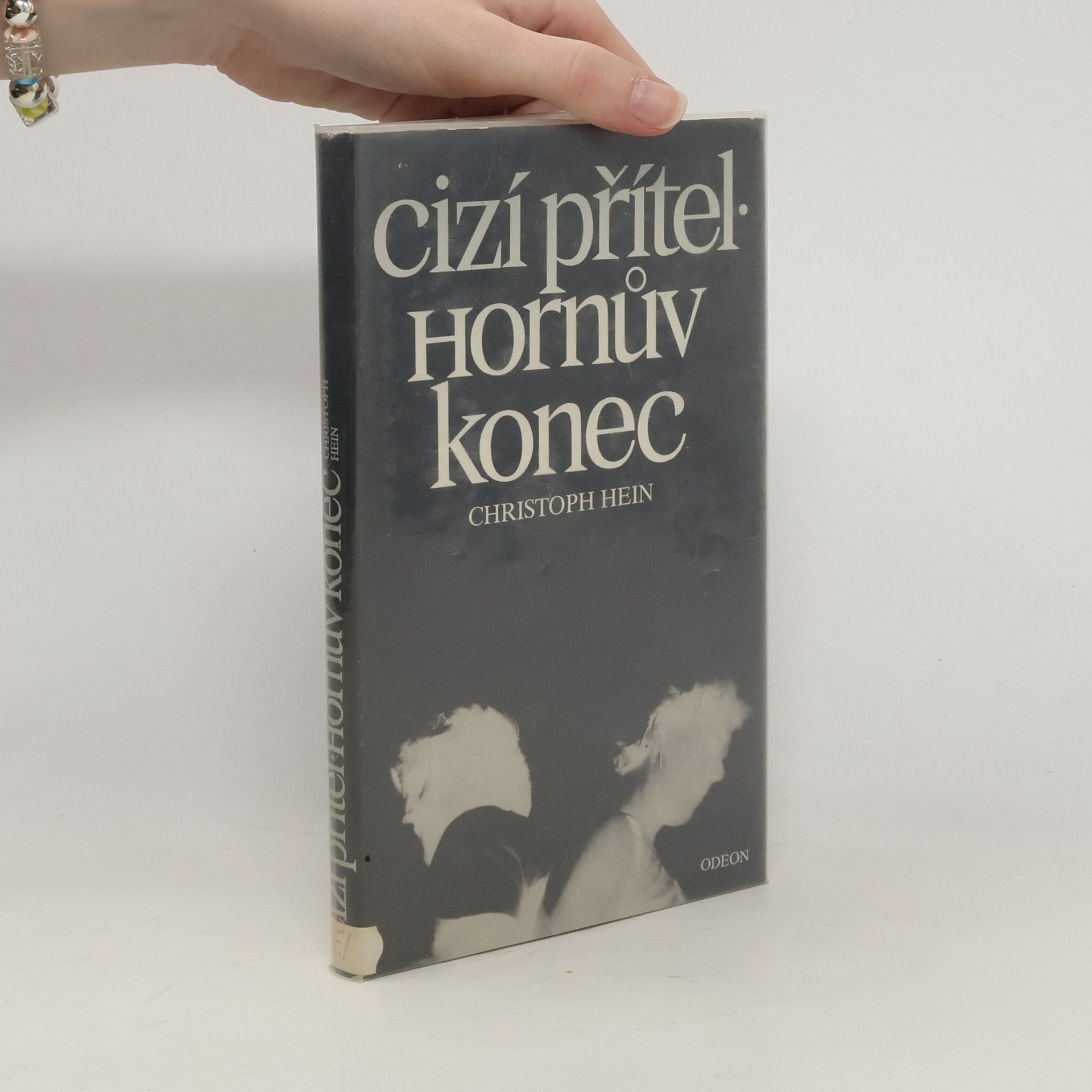 Christoph Hein Cizí přítel. Hornův konec